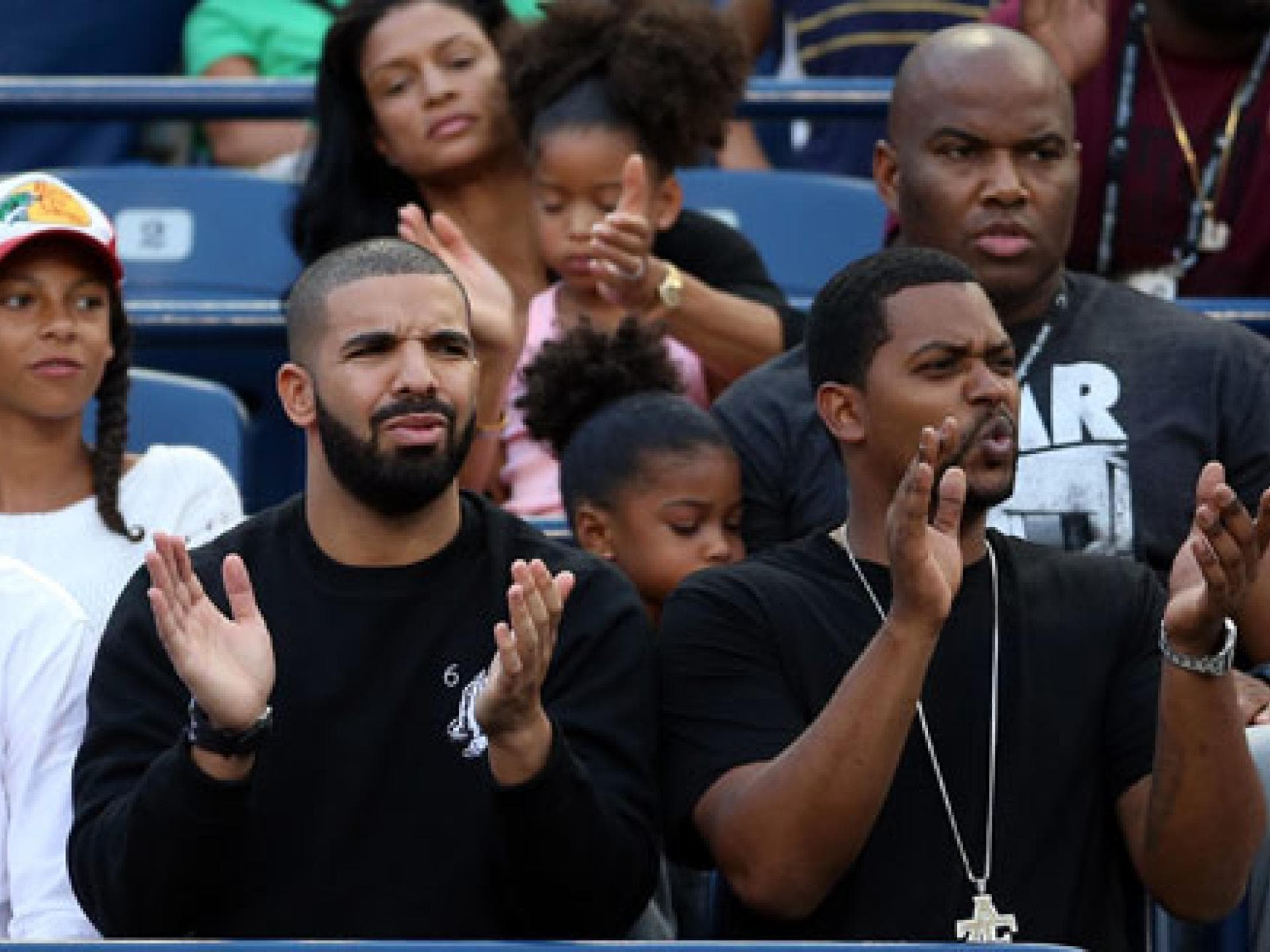 drake-2079617.jpg