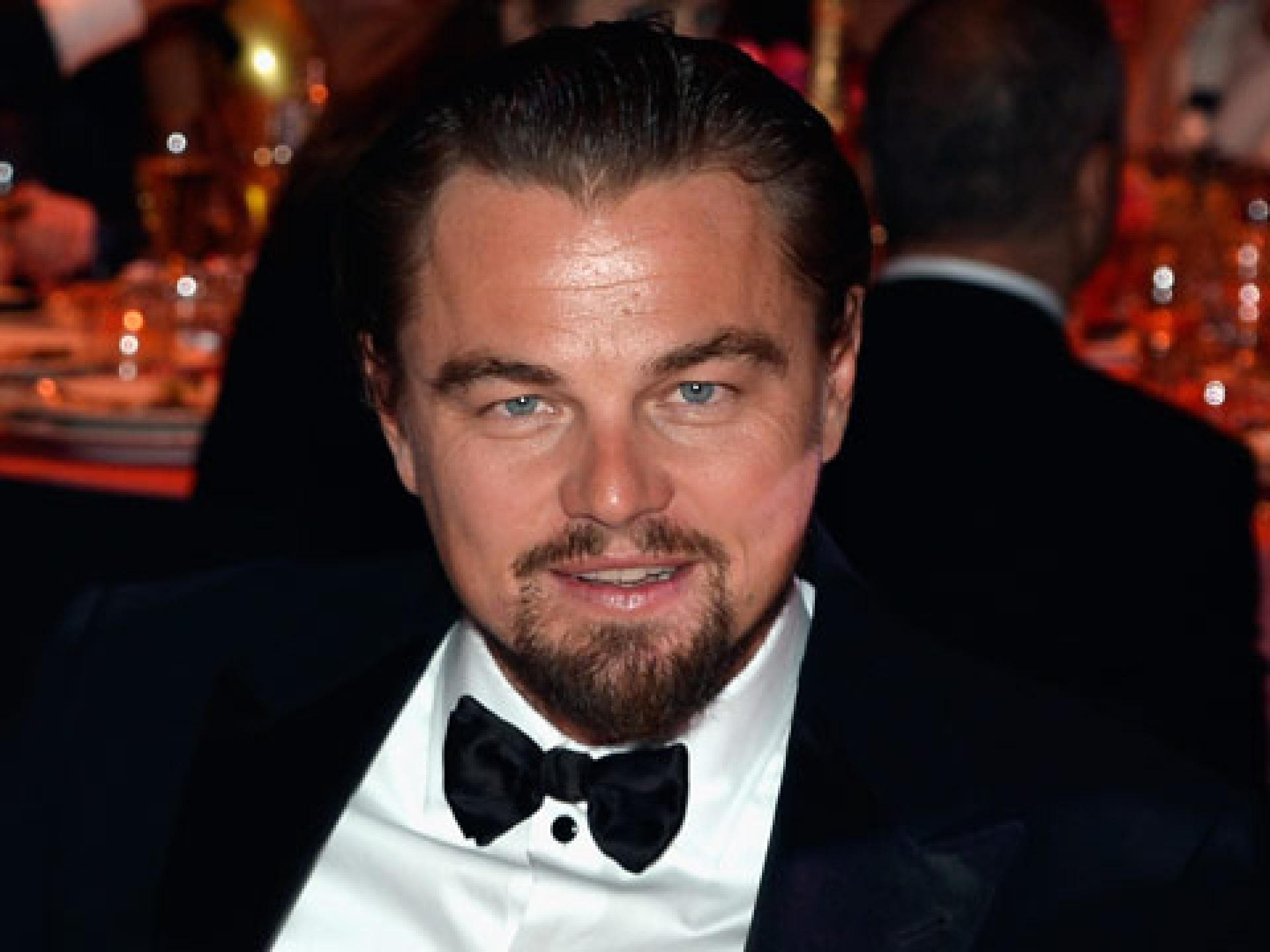 leo-2079707.jpg