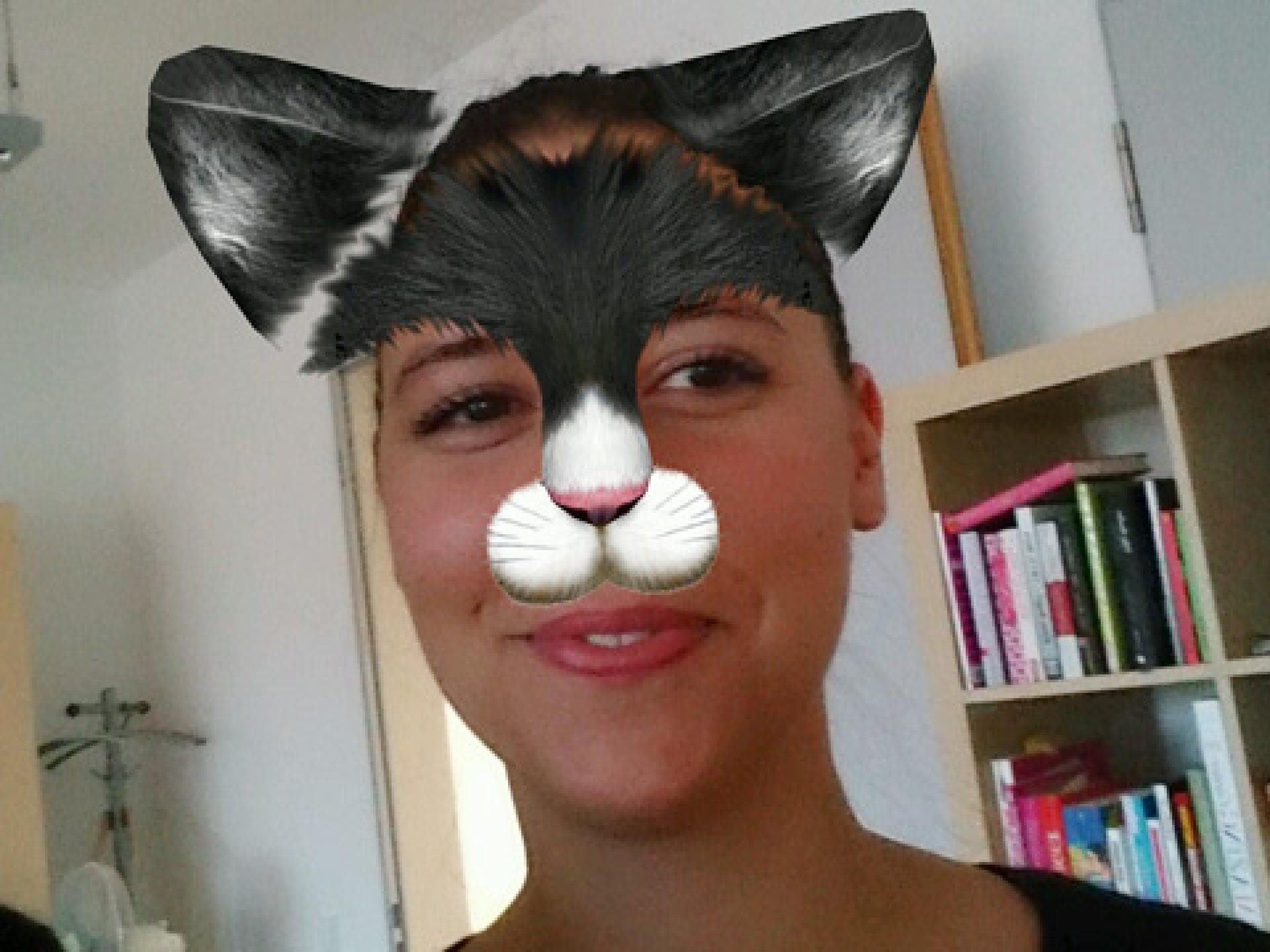 katzenbild-1868694.jpg