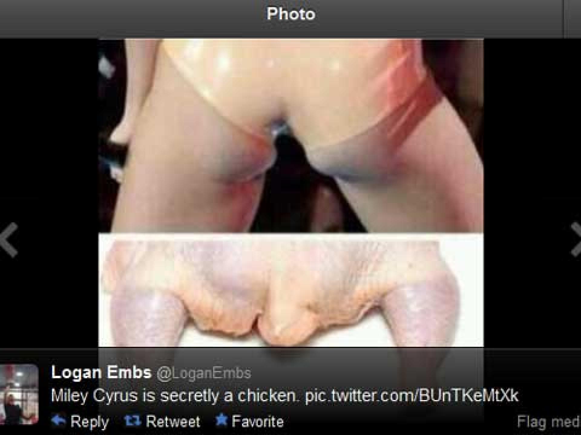 chicken-meme-1868103.jpg chicken-meme-1868103.jpg