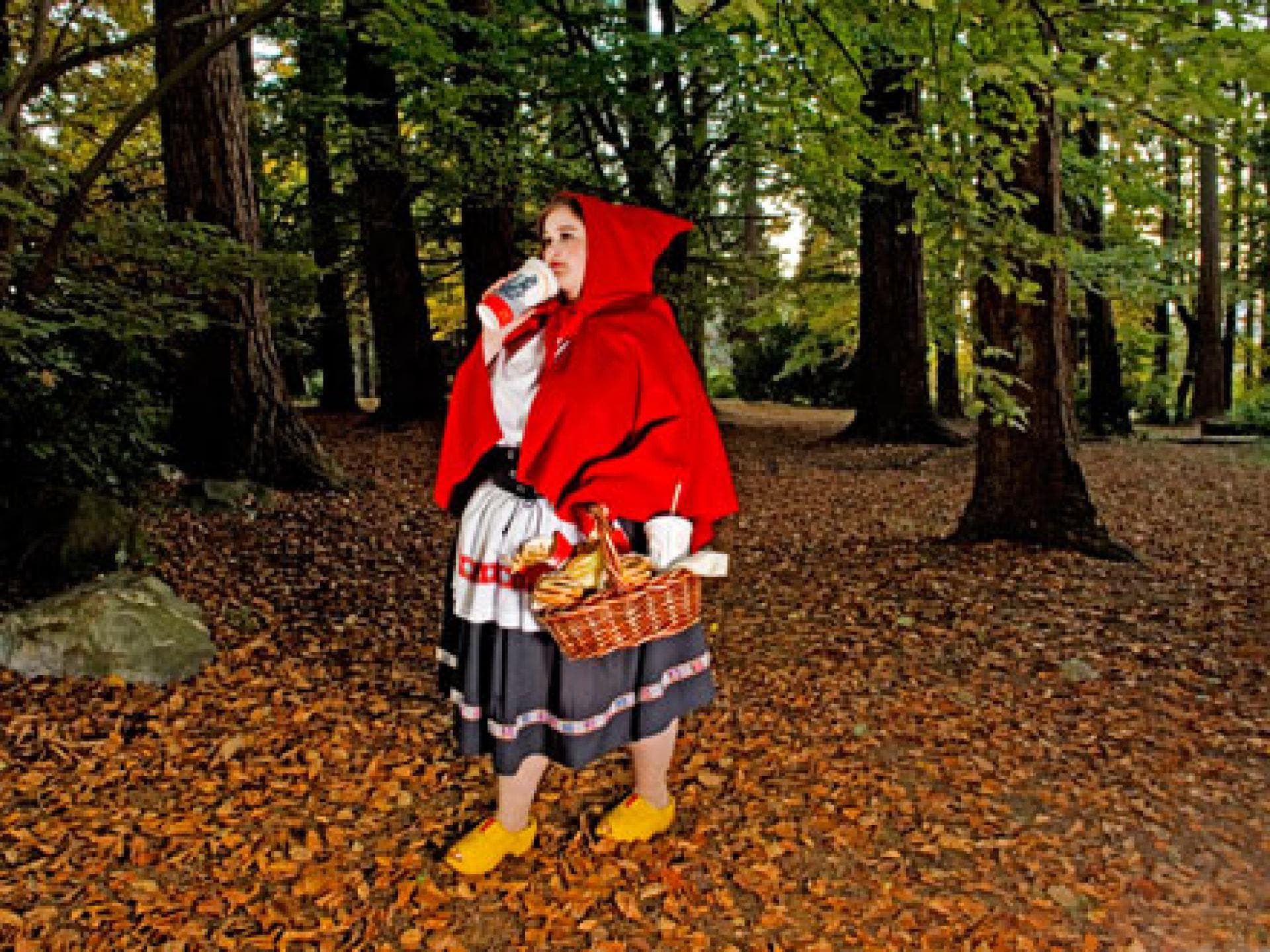 red-ridding-hood-1841400.jpg