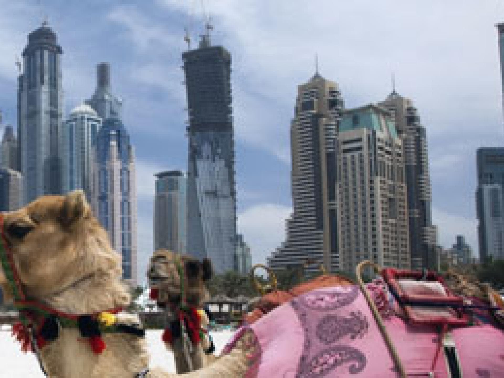 dubai-skyline-520x195-bild-1-1388308.jpg
