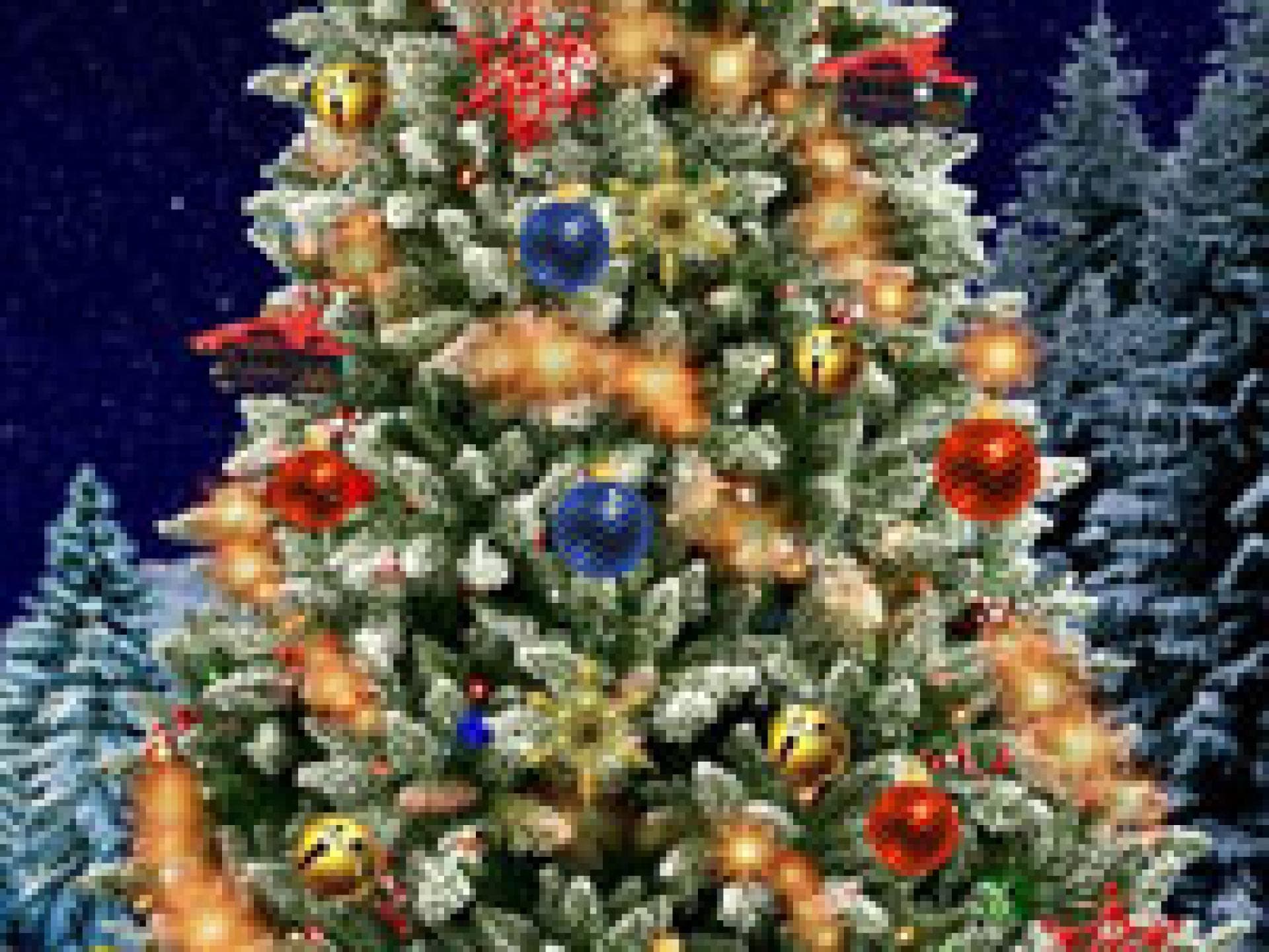 christmas-tree-1347187.jpg