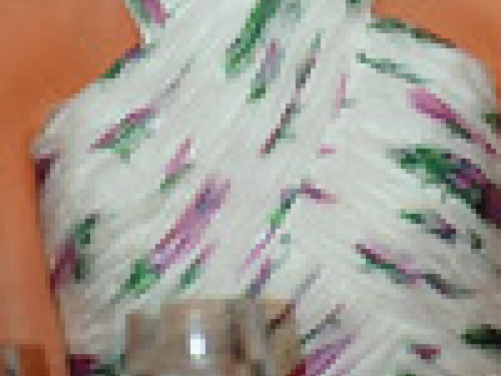 lady-di-100x200-bild-5-1230694.jpg lady-di-100x200-bild-5-1230694.jpg