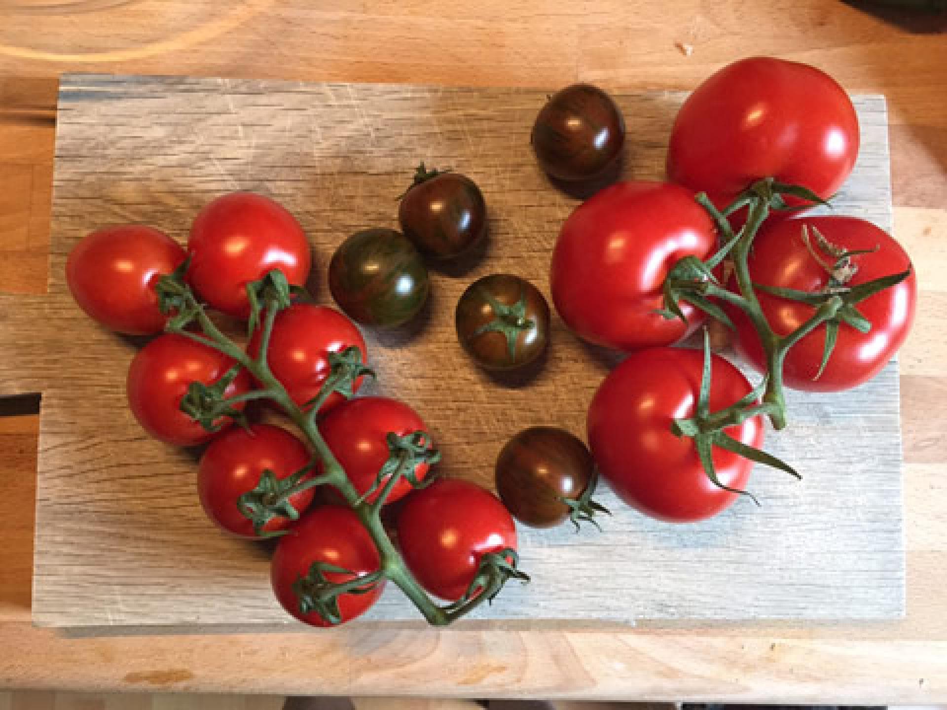 tomaten-2054579.jpg
