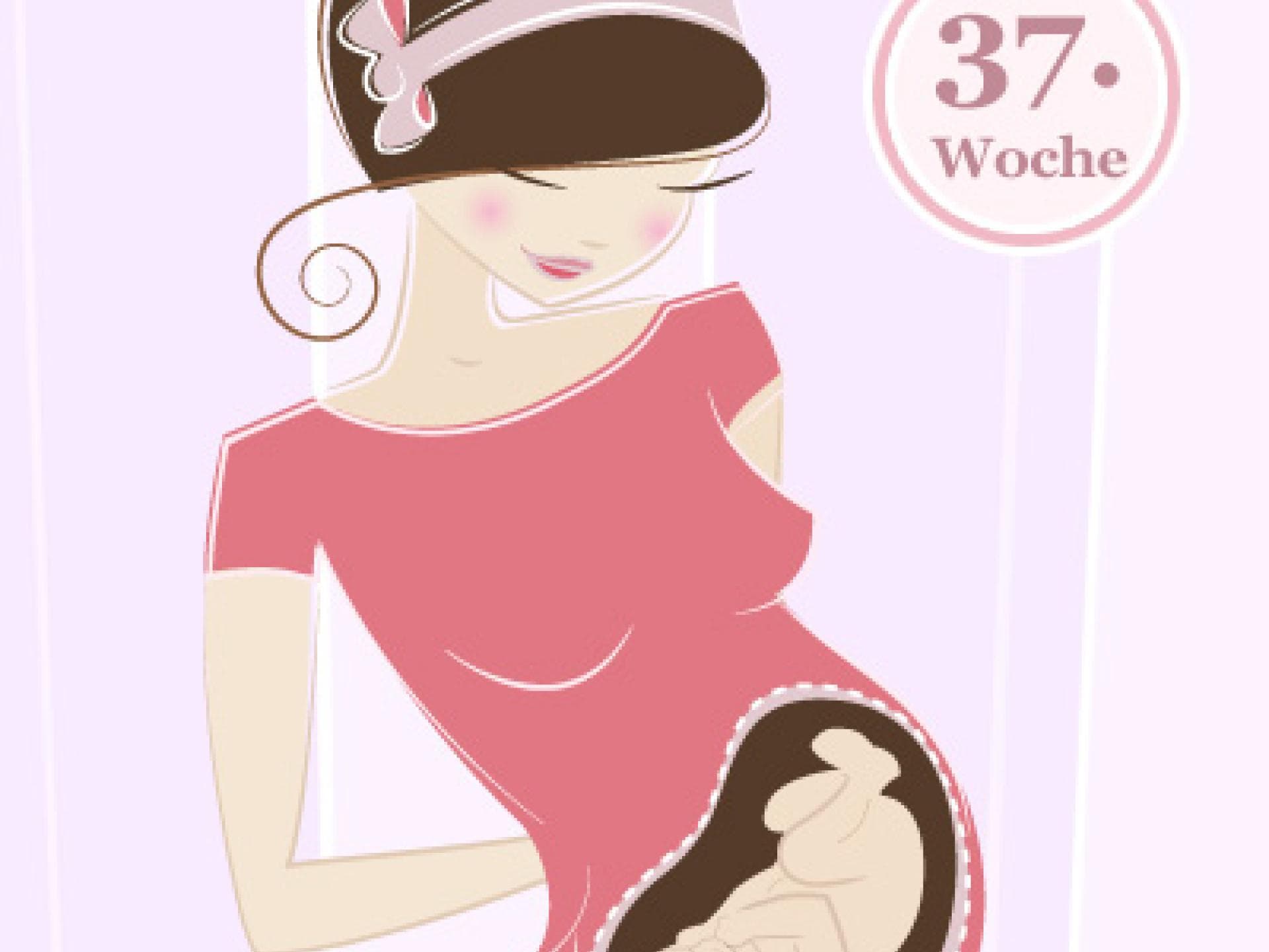 37. SSW - Einblick in die 37. Schwangerschaftswoche