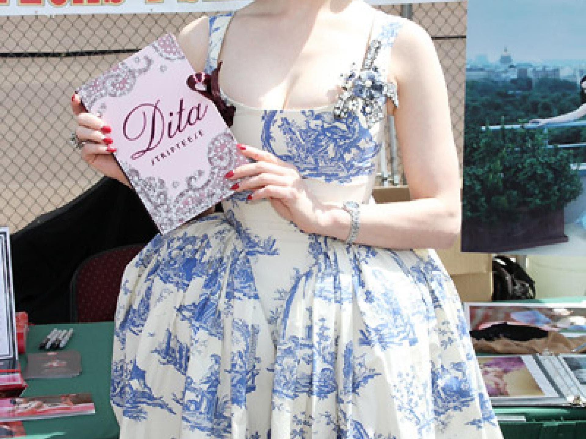 Dita von Teese im Vintage Dress