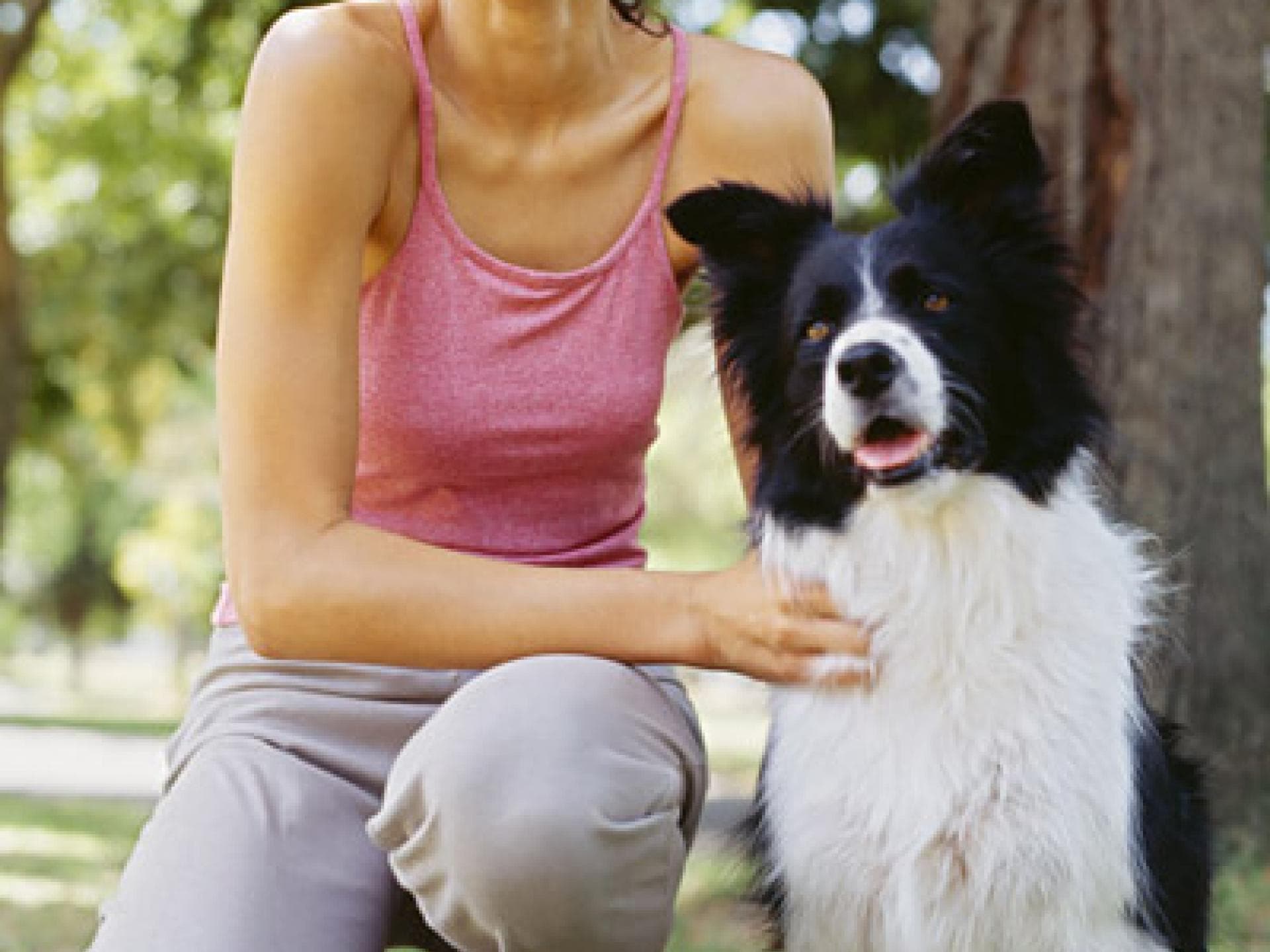Beim Spaziergang mit Hund schlagfertig antworten