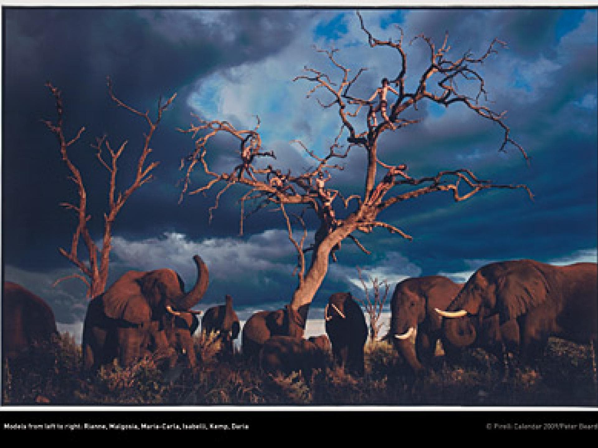 Pirelli Kalender 2009: Botswana Pirelli Kalender 2009: Botswana