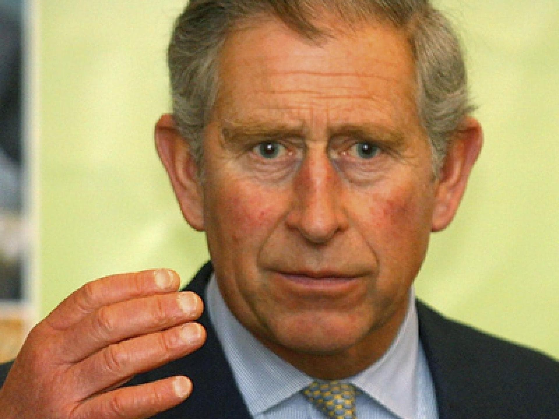 Prinz Charles Ohren