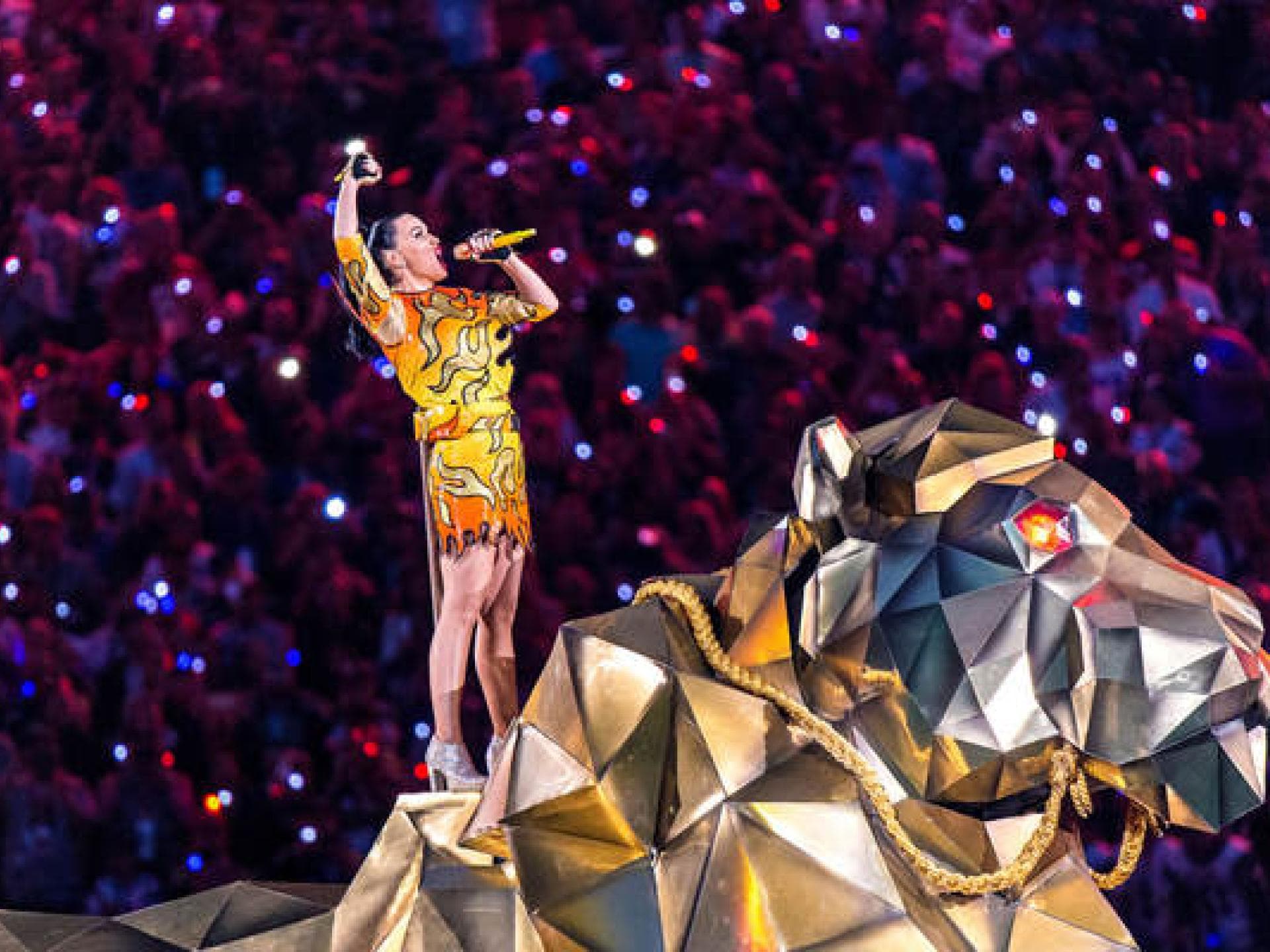 Die Stars beim Super Bowl 2015
