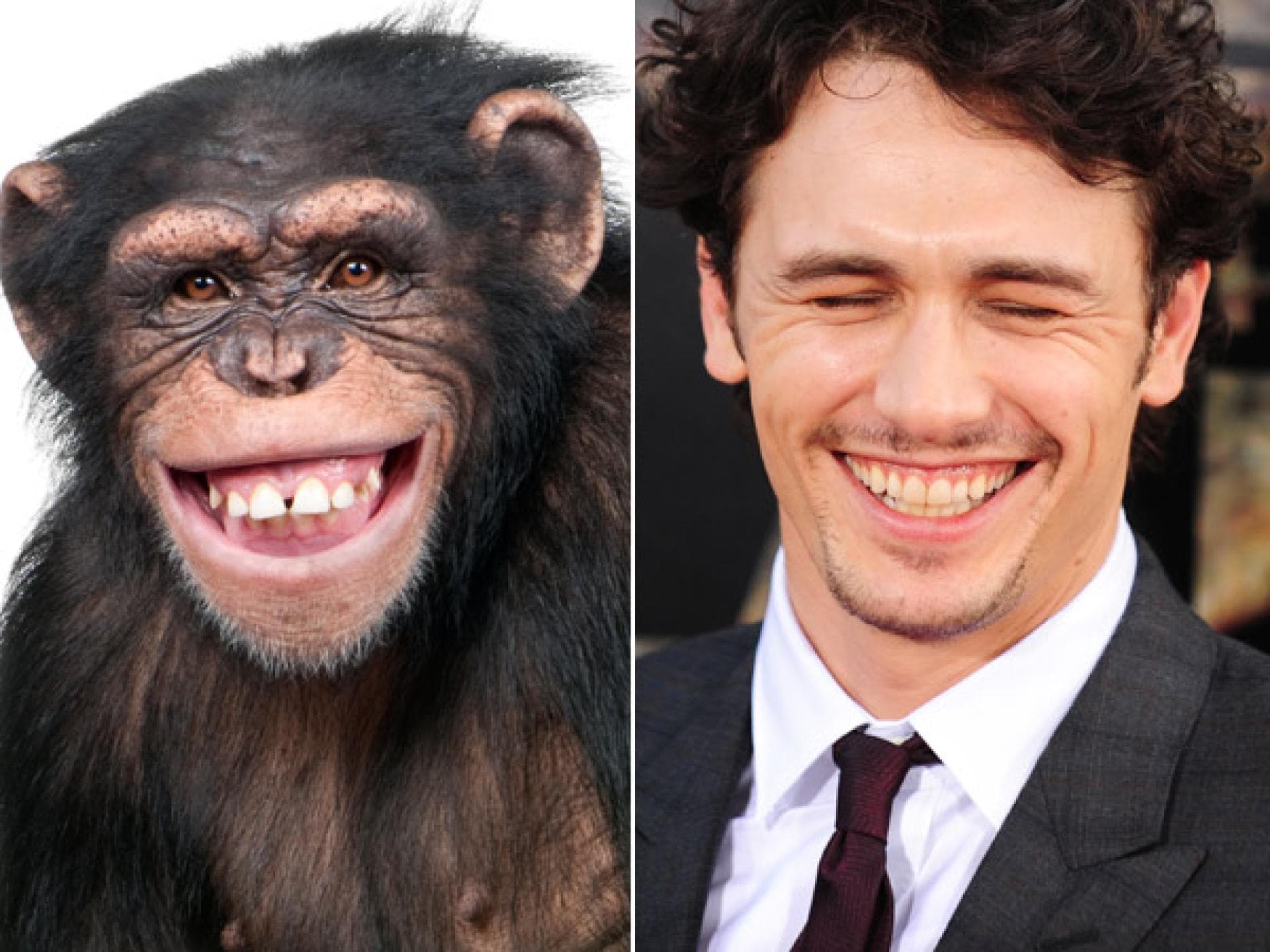 James Franco und ein netter Schimpanse James Franco und ein netter Schimpanse