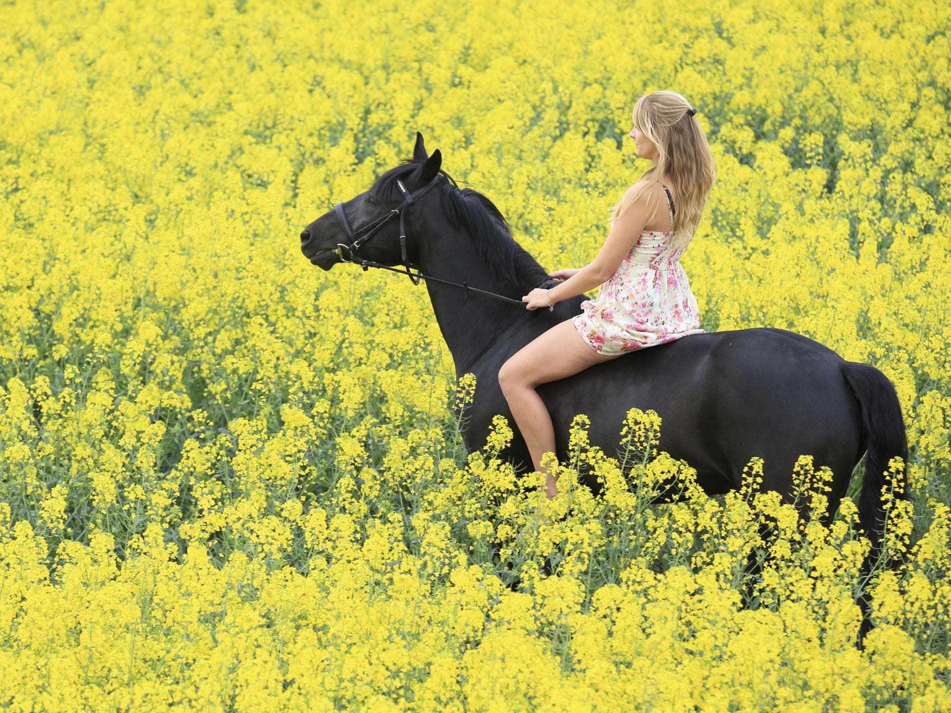 cowgirl ist gefaehrlich beim Sex