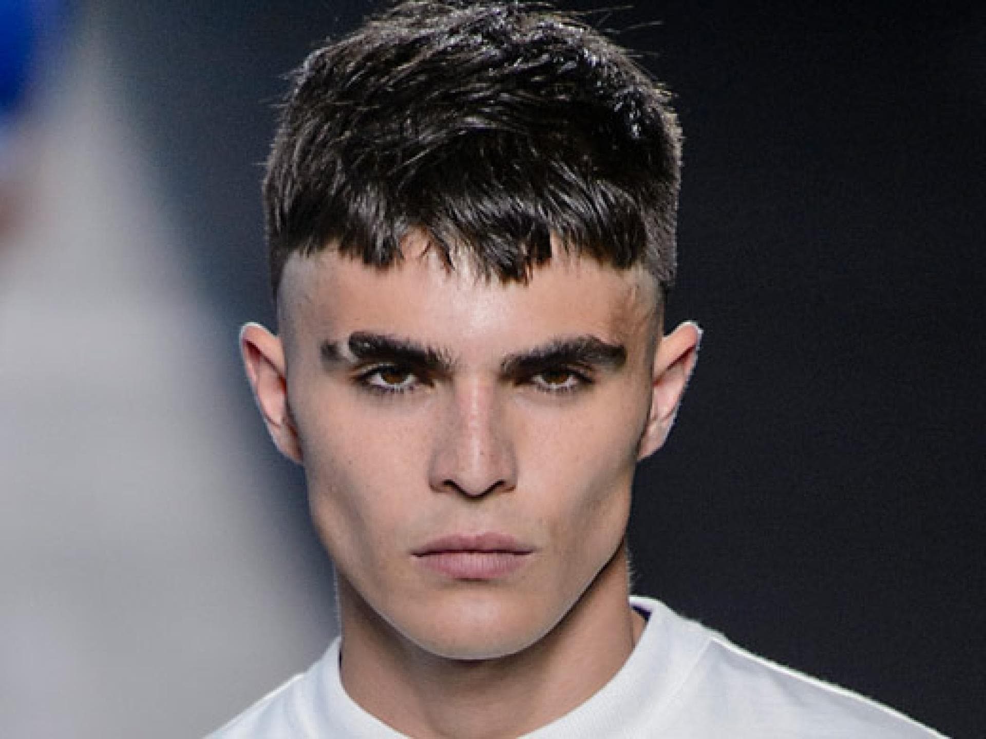 augenbaruen-slit-2084850.jpg