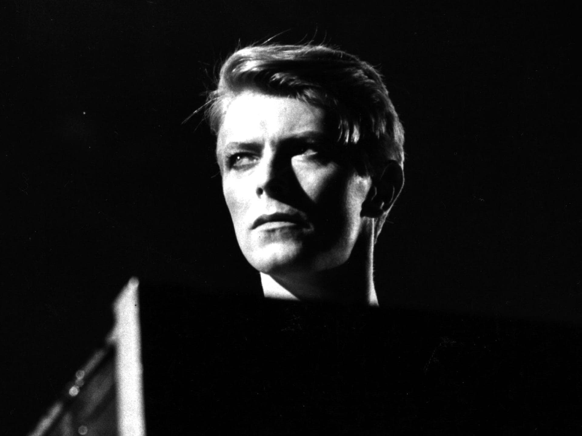 bowie