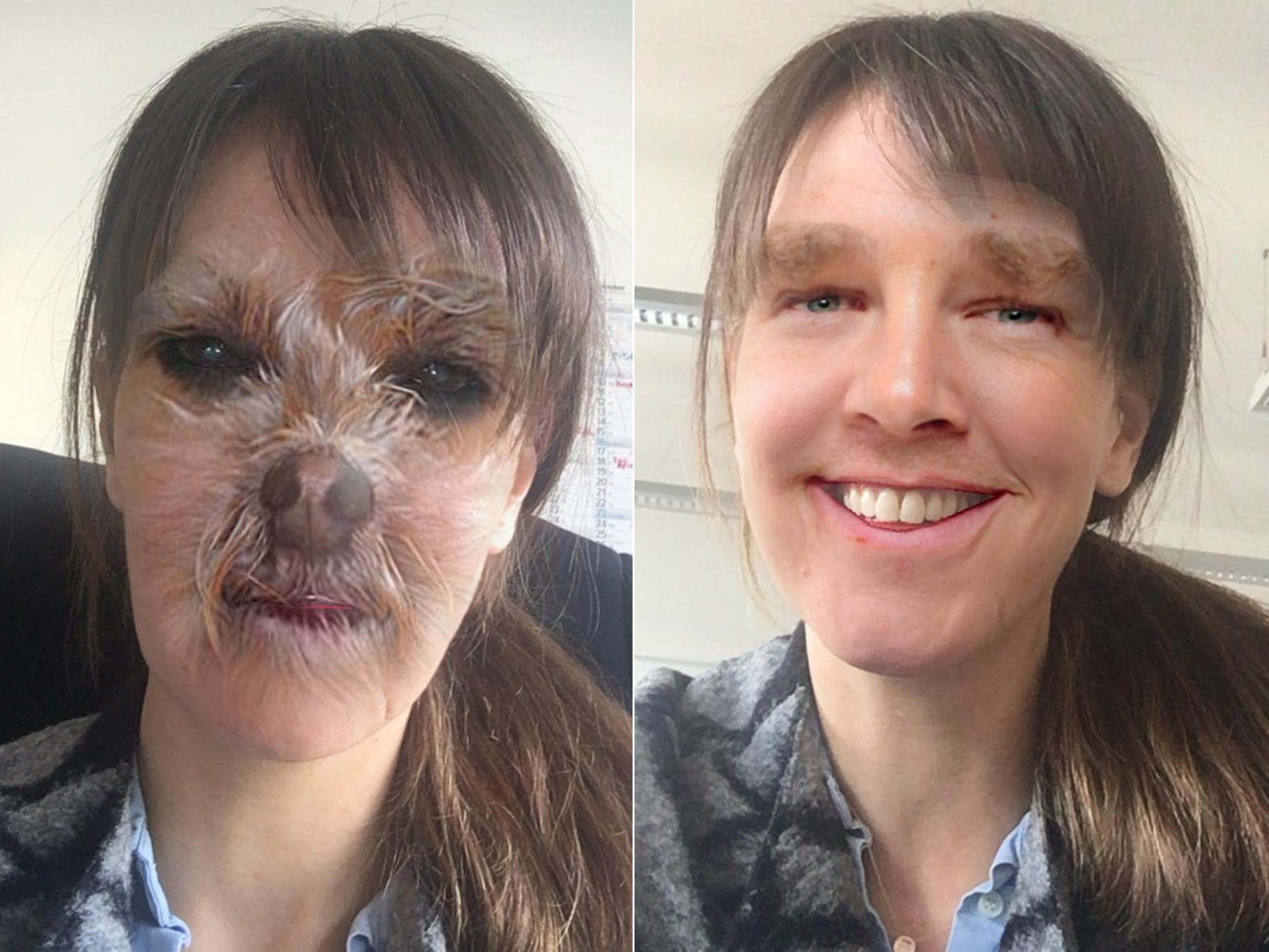 cumberwolff cumberwolff