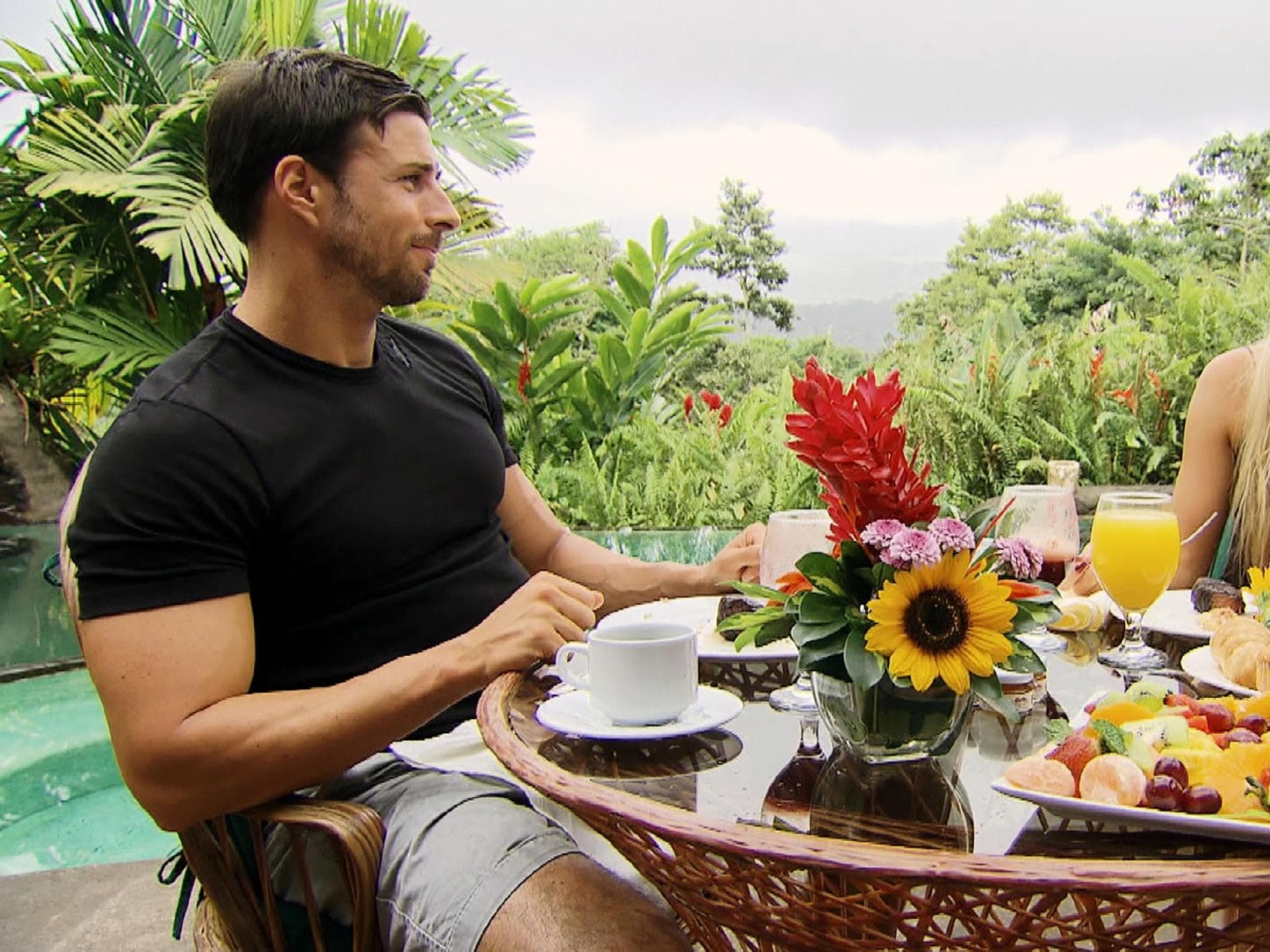 bachelor daniela