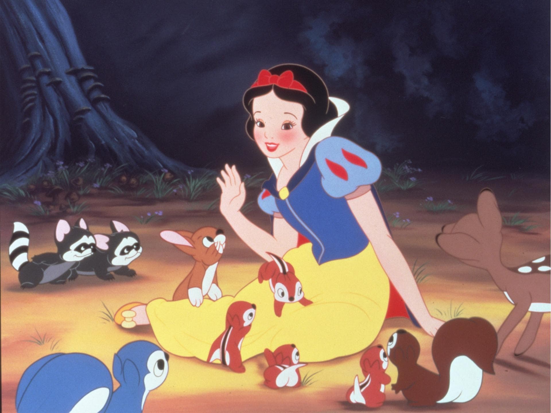 snow white ddp snow white ddp