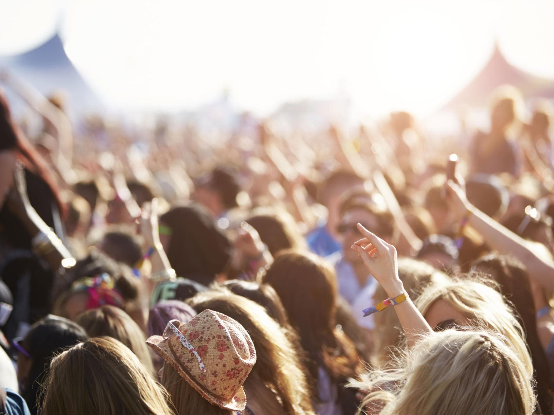 Festival Thinkstock Festival Thinkstock