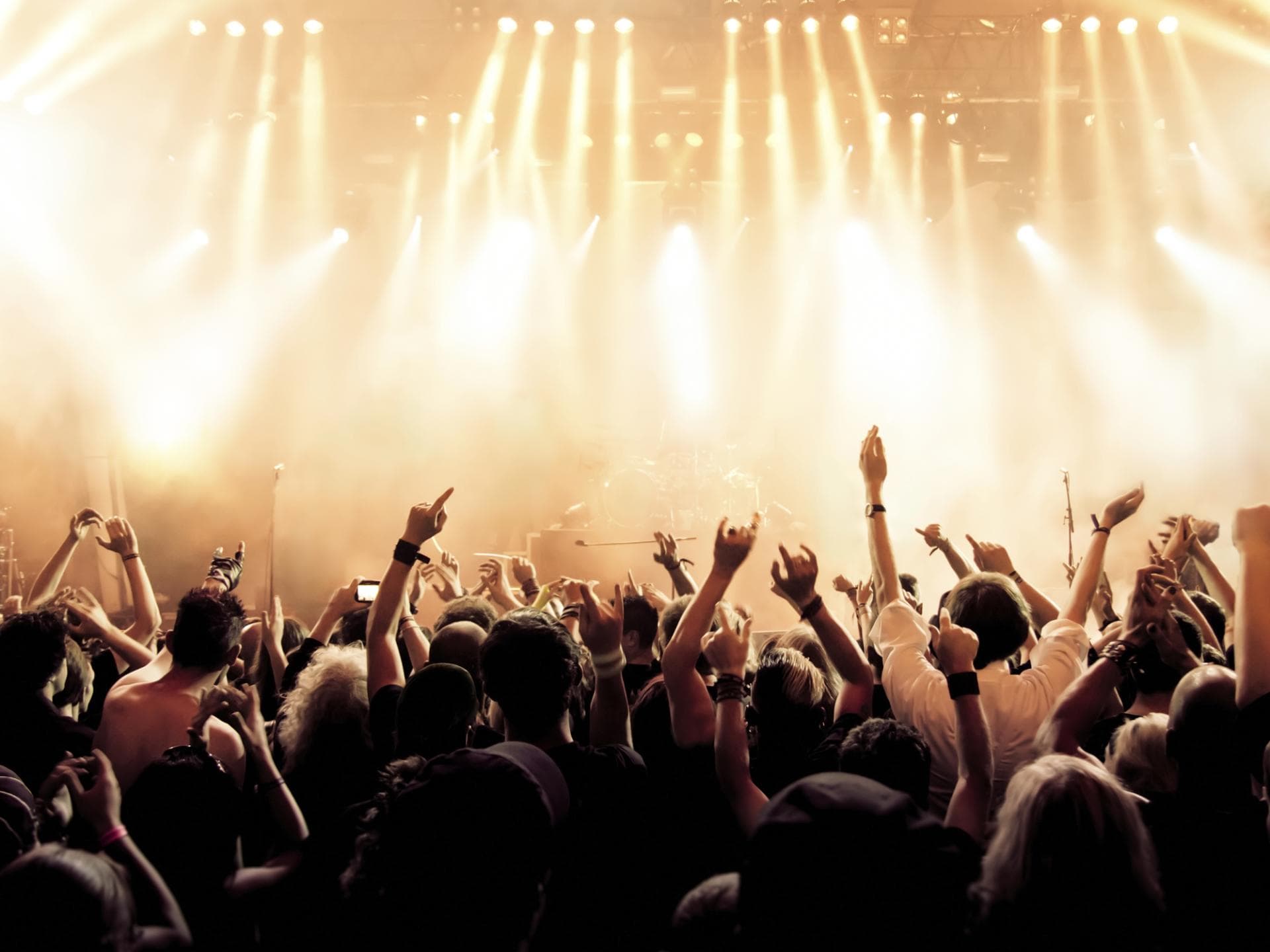 Festival Planer