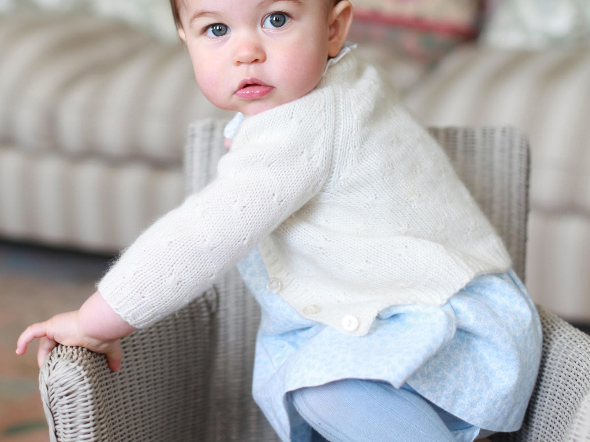 prinzessin-charlotte-cardigan prinzessin-charlotte-cardigan