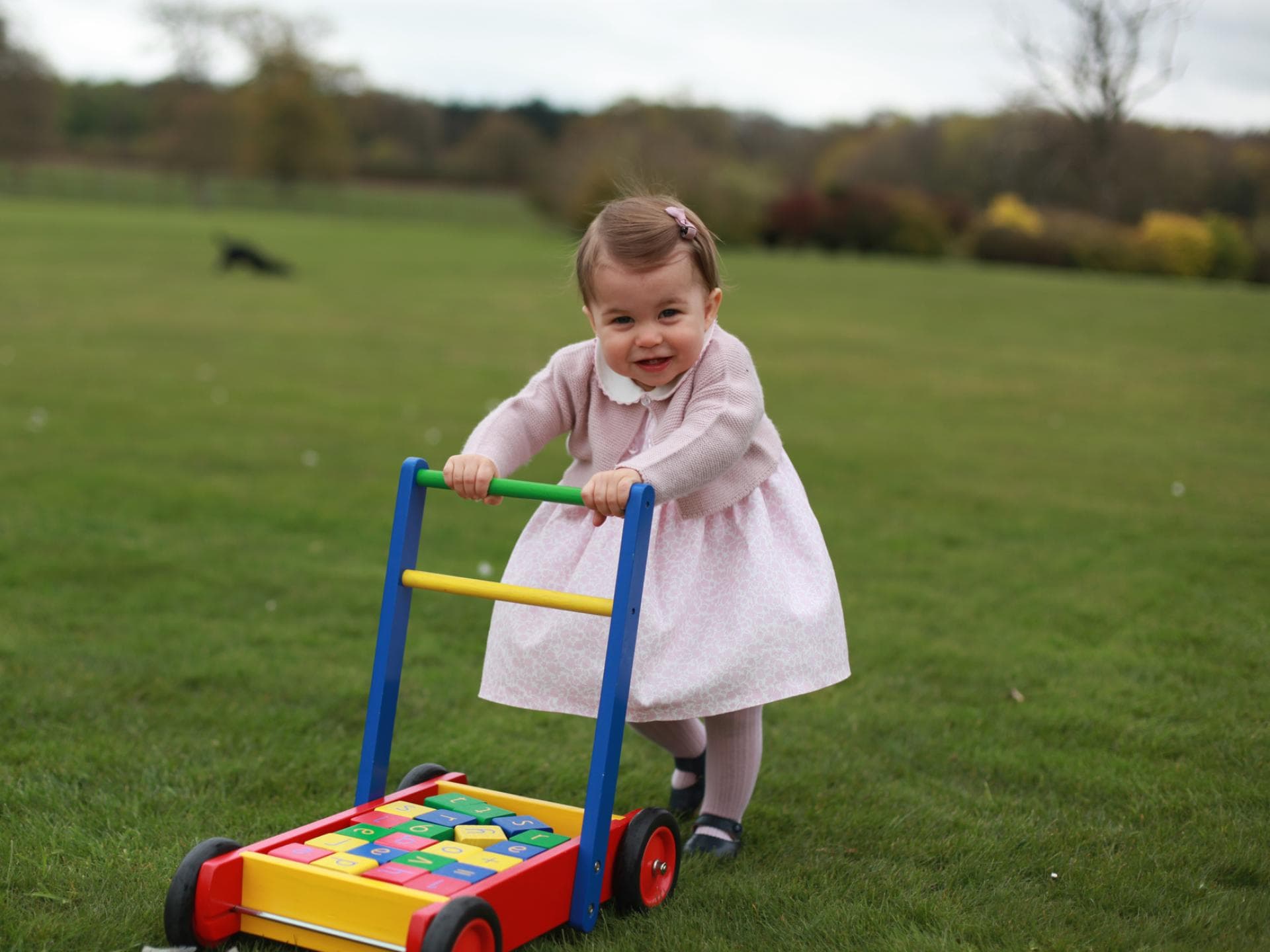 prinzessin-charlotte-garten prinzessin-charlotte-garten
