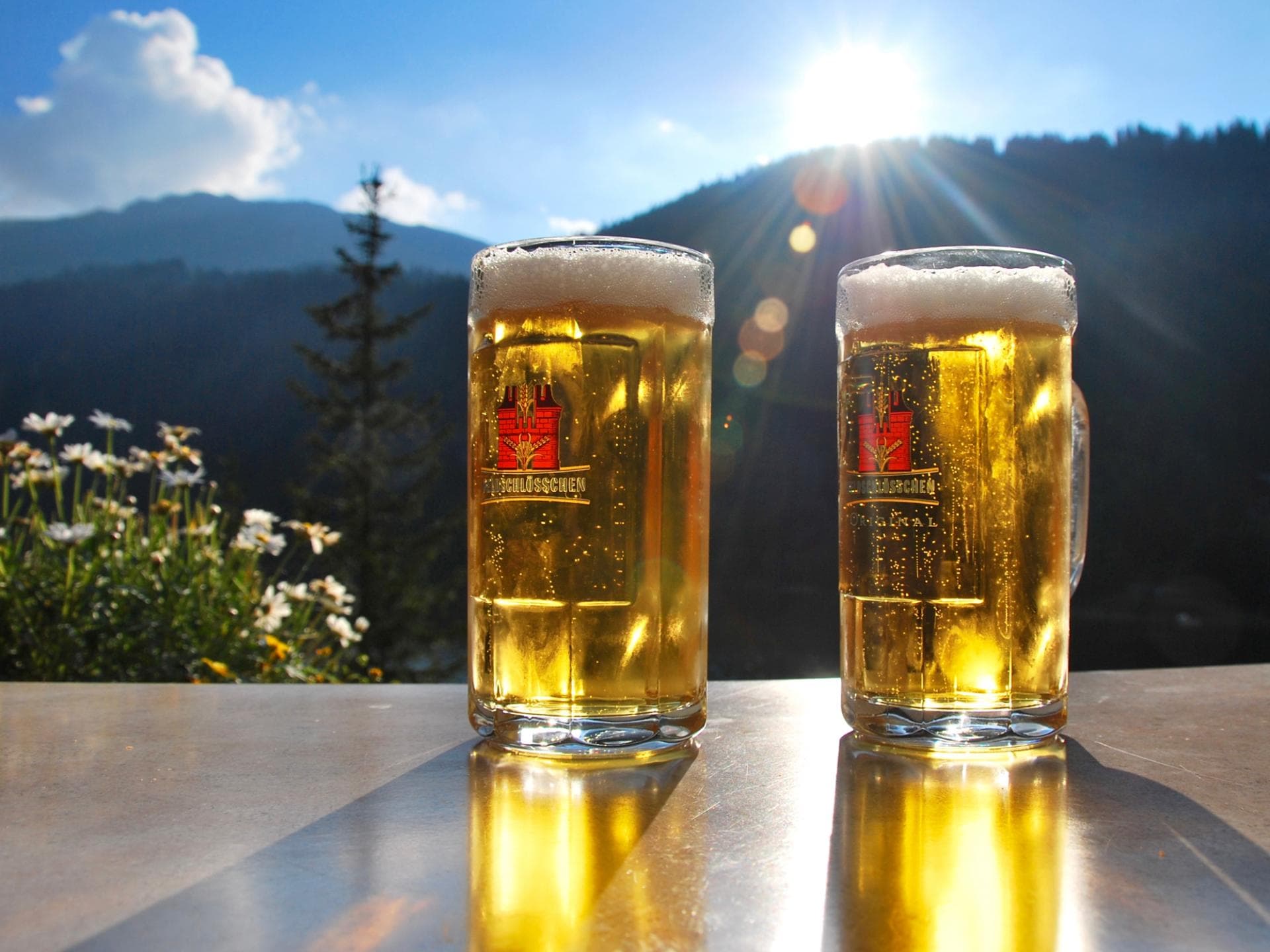 Bier in der Sonne Bier in der Sonne
