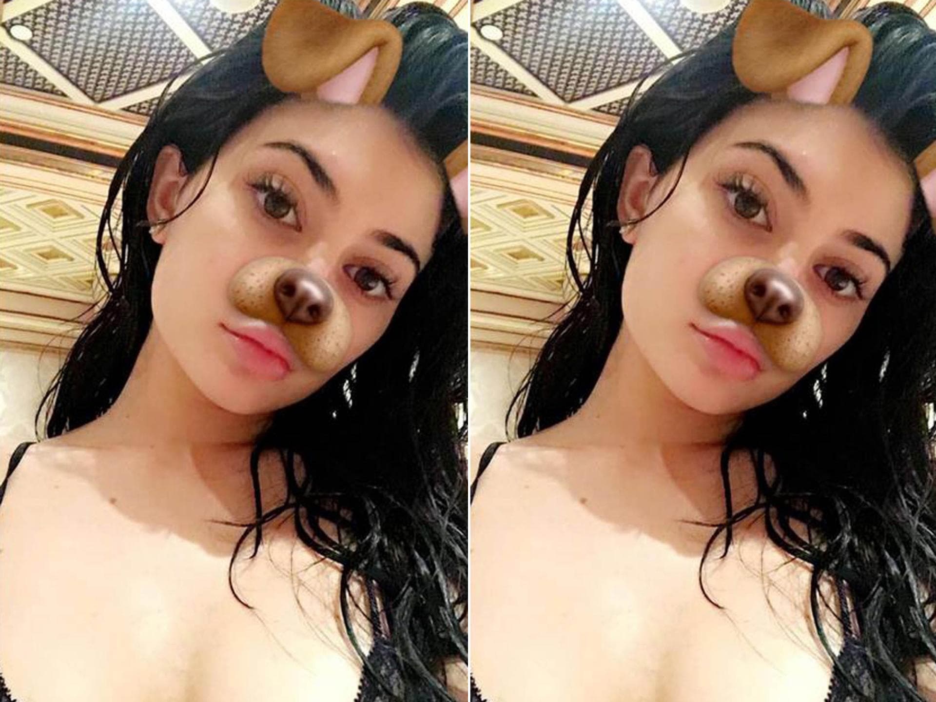 snapchat-hundemaske