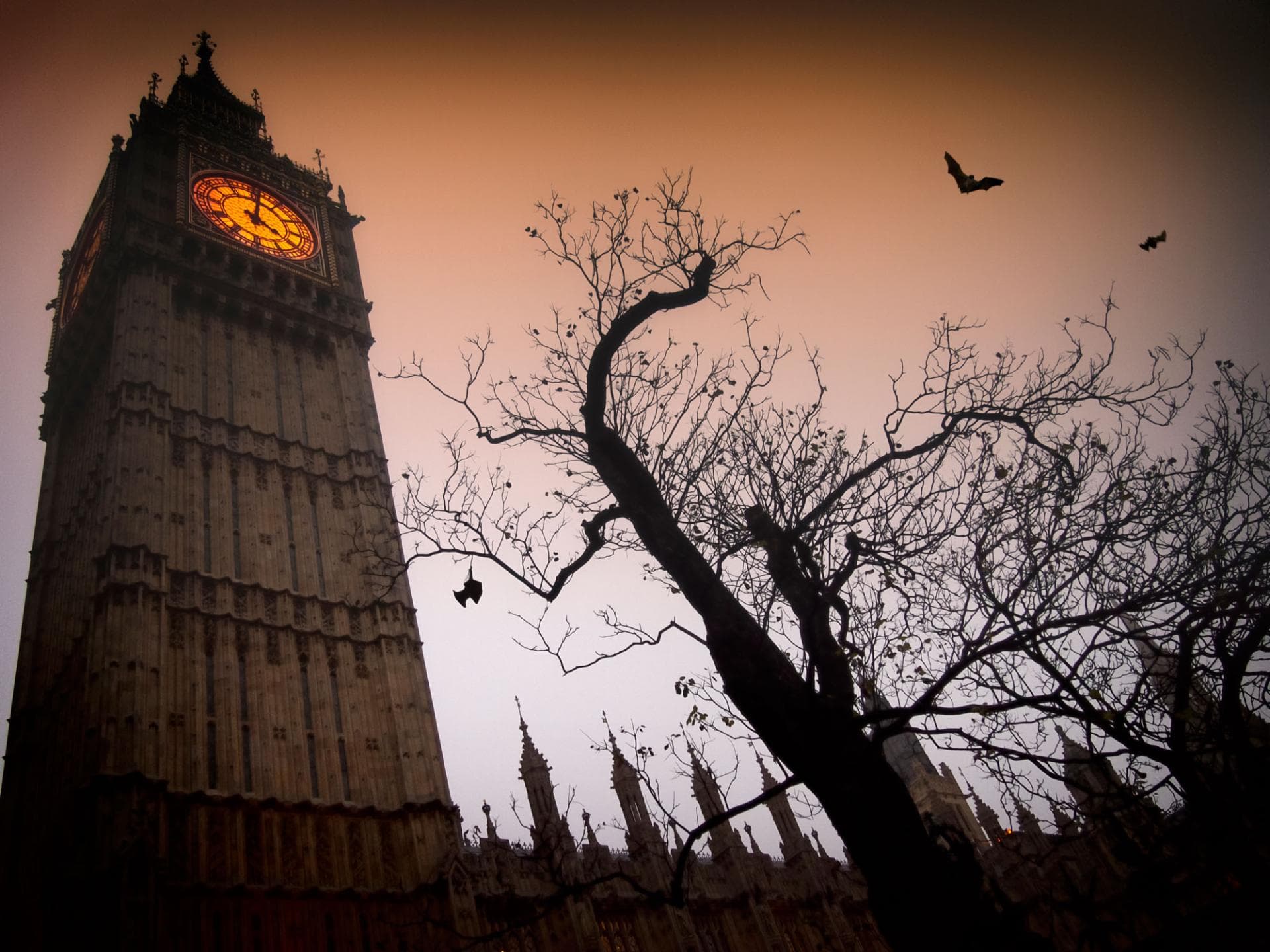 iStock_23792677_LARGE iStock_23792677_LARGE
