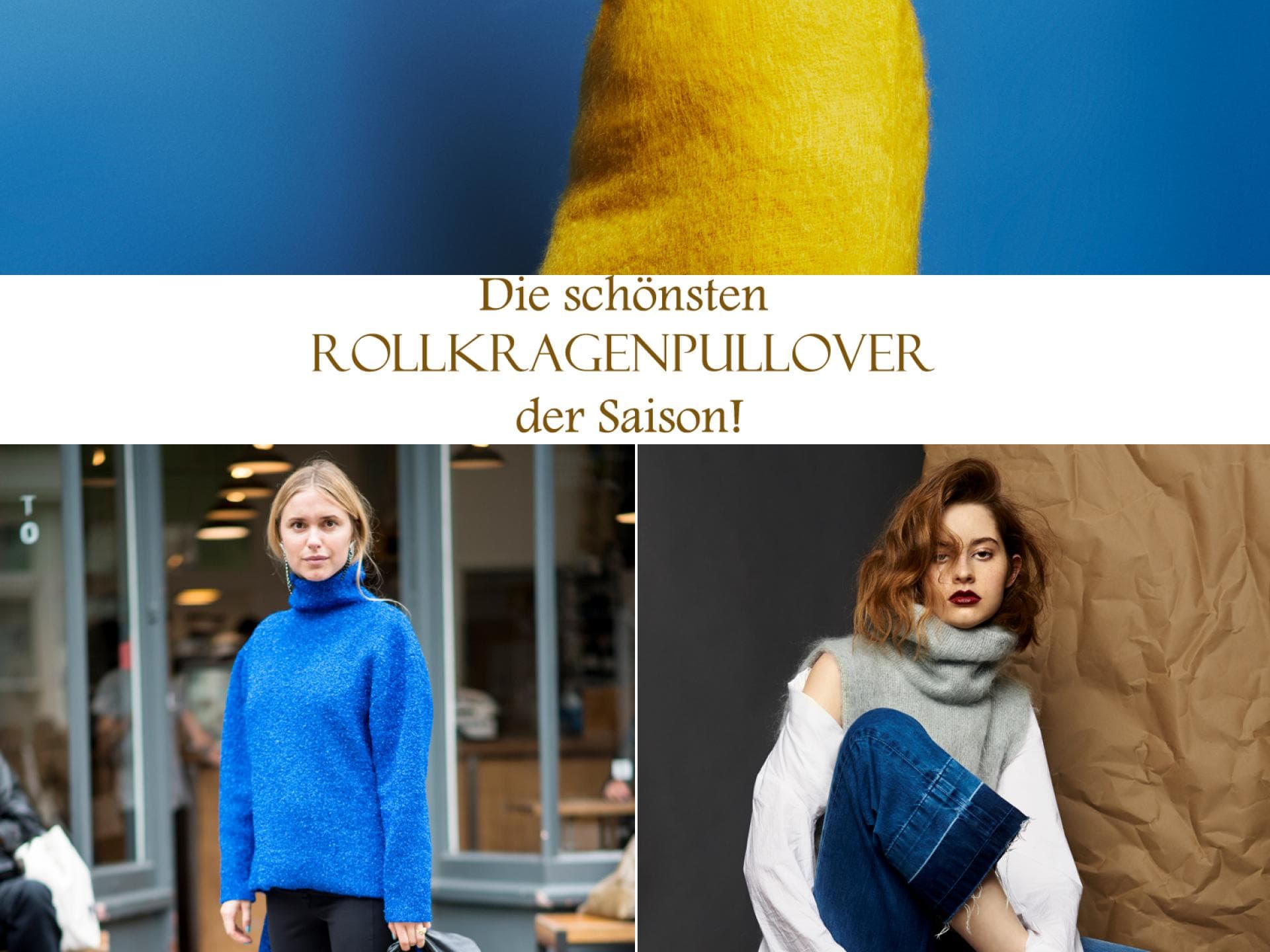 Rollkragenpullover 2017 Rollkragenpullover 2017