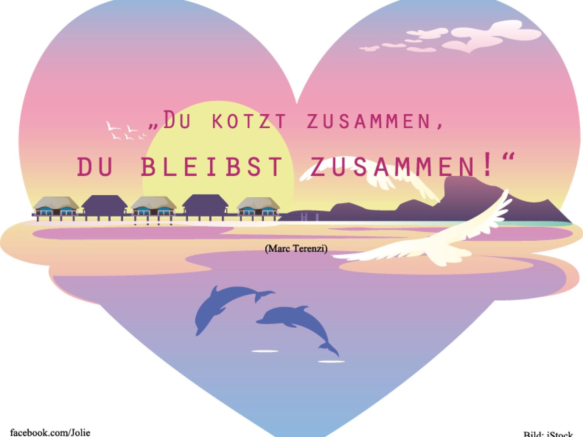 kotz kotz