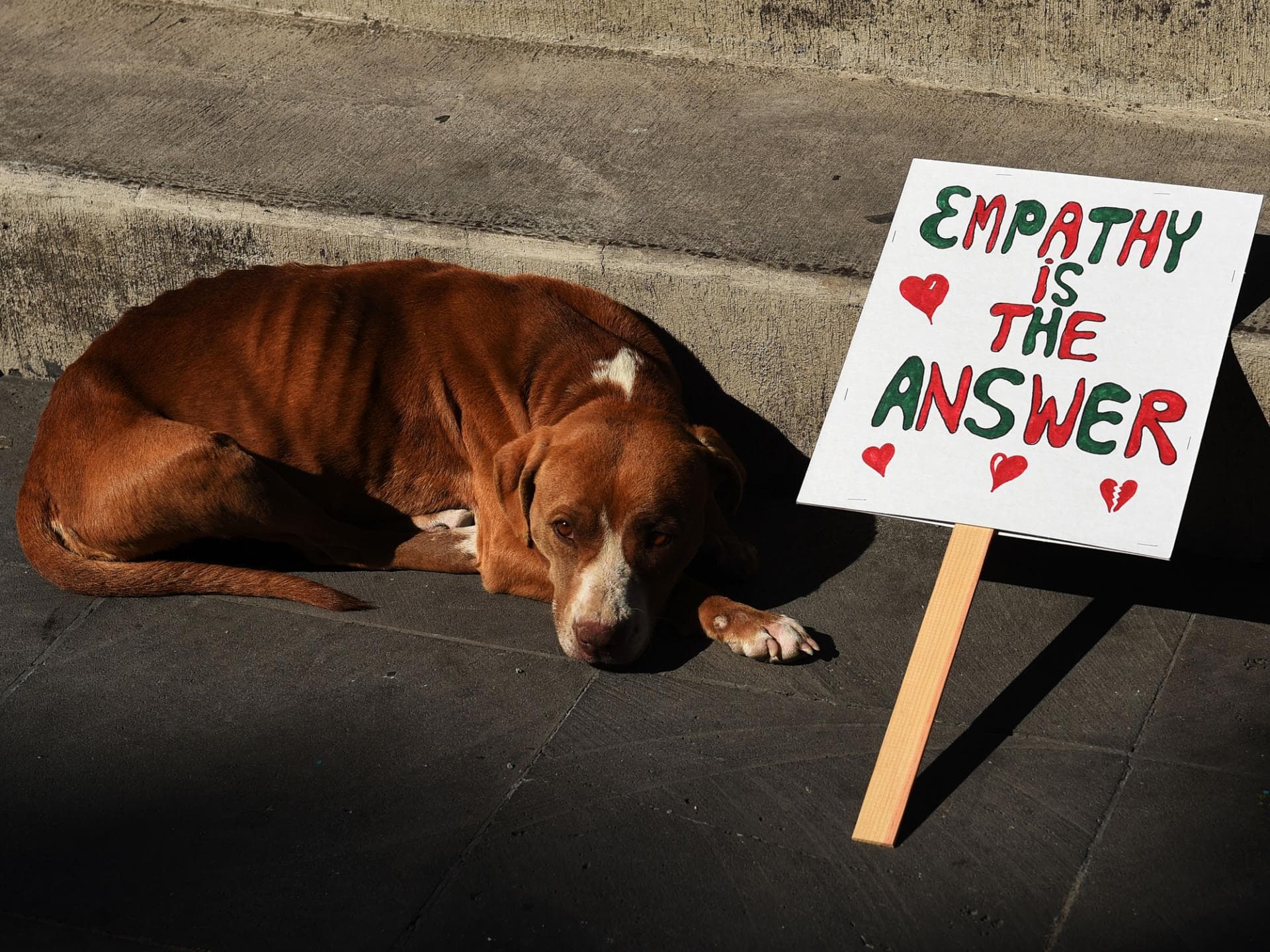 empathy