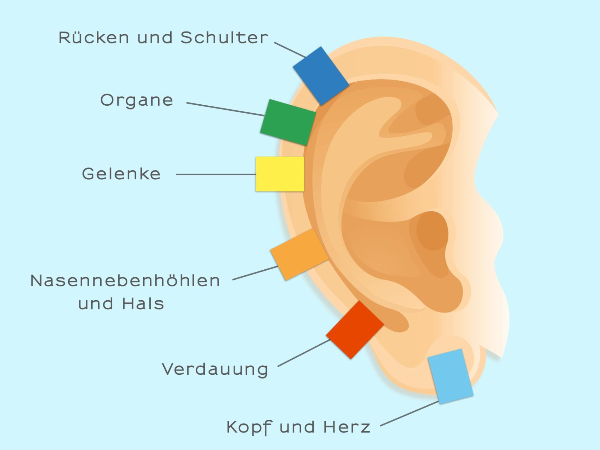 ohr-klemmpunkte-2000x1500 ohr-klemmpunkte-2000x1500