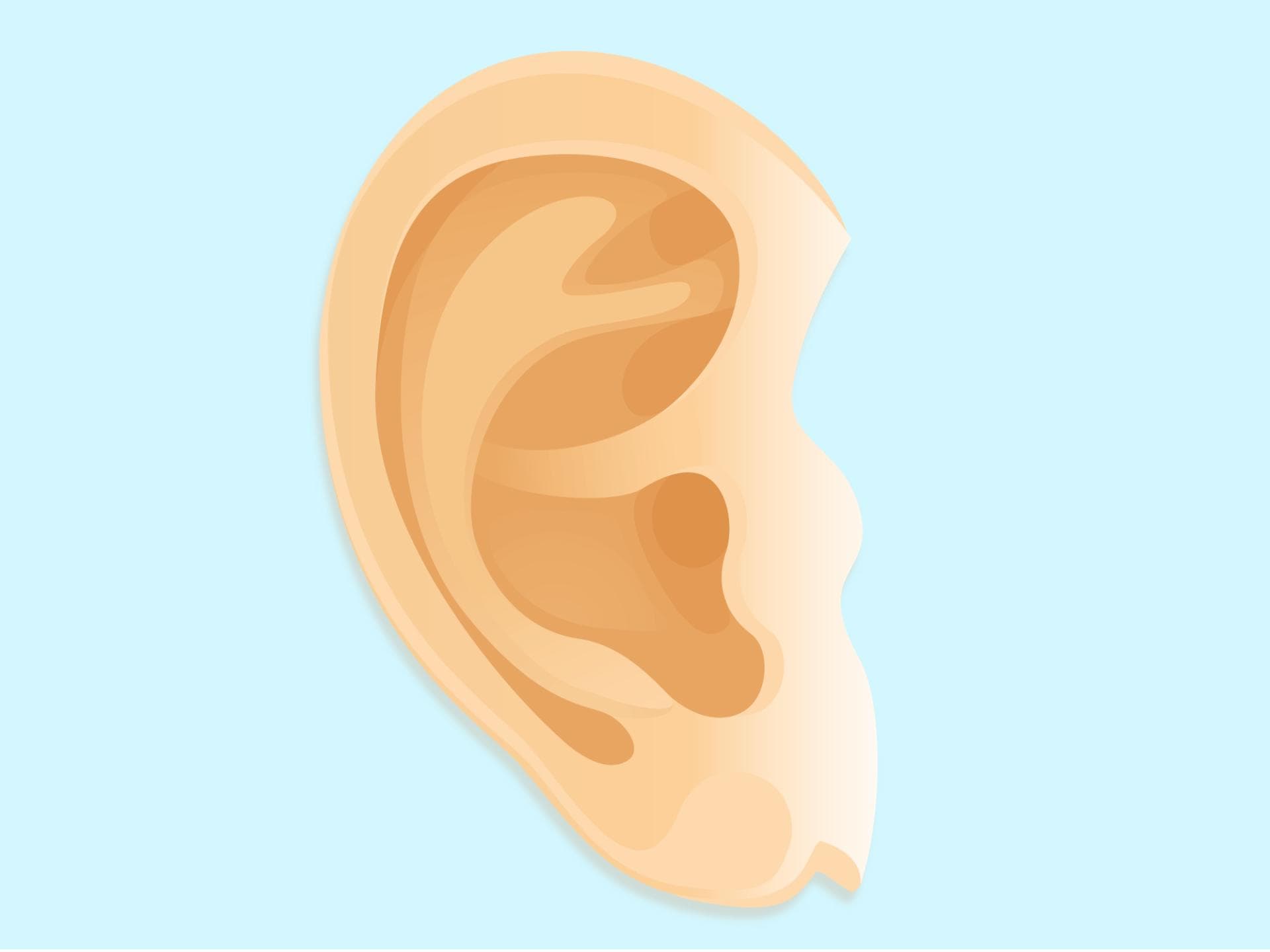 aufmacher-ohr-illus-2000x1500 aufmacher-ohr-illus-2000x1500
