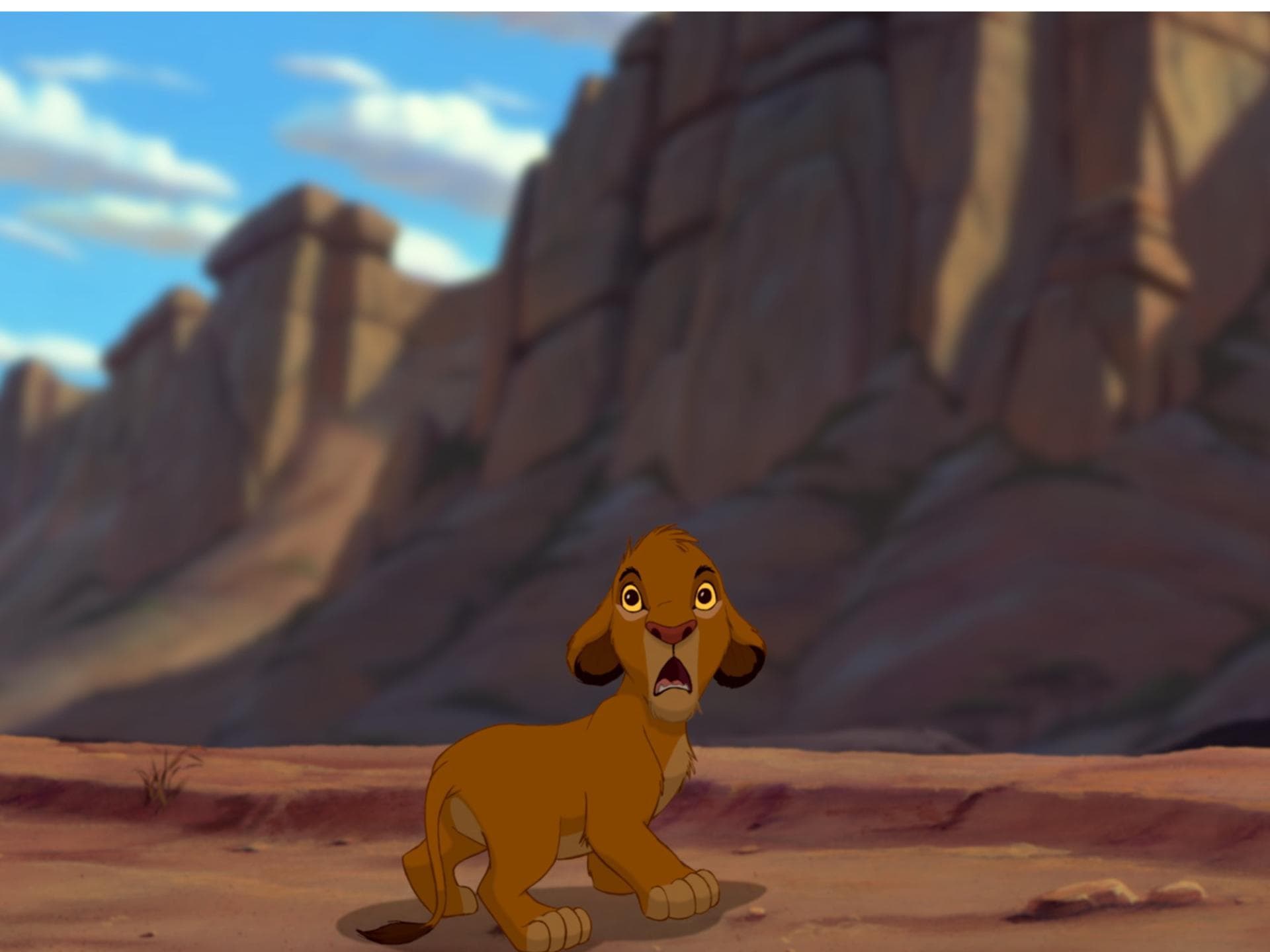 Simba König der Löwen