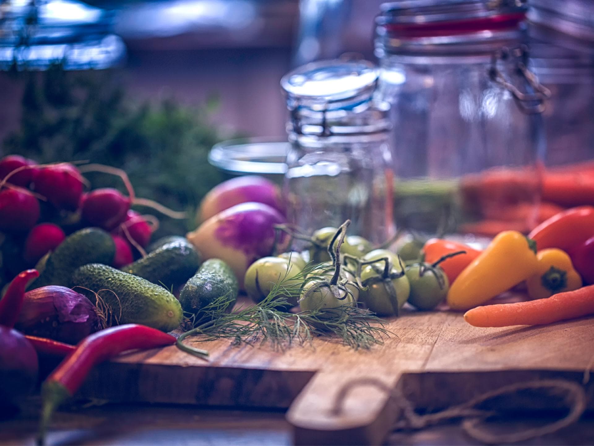 Fermentieren Fermentieren