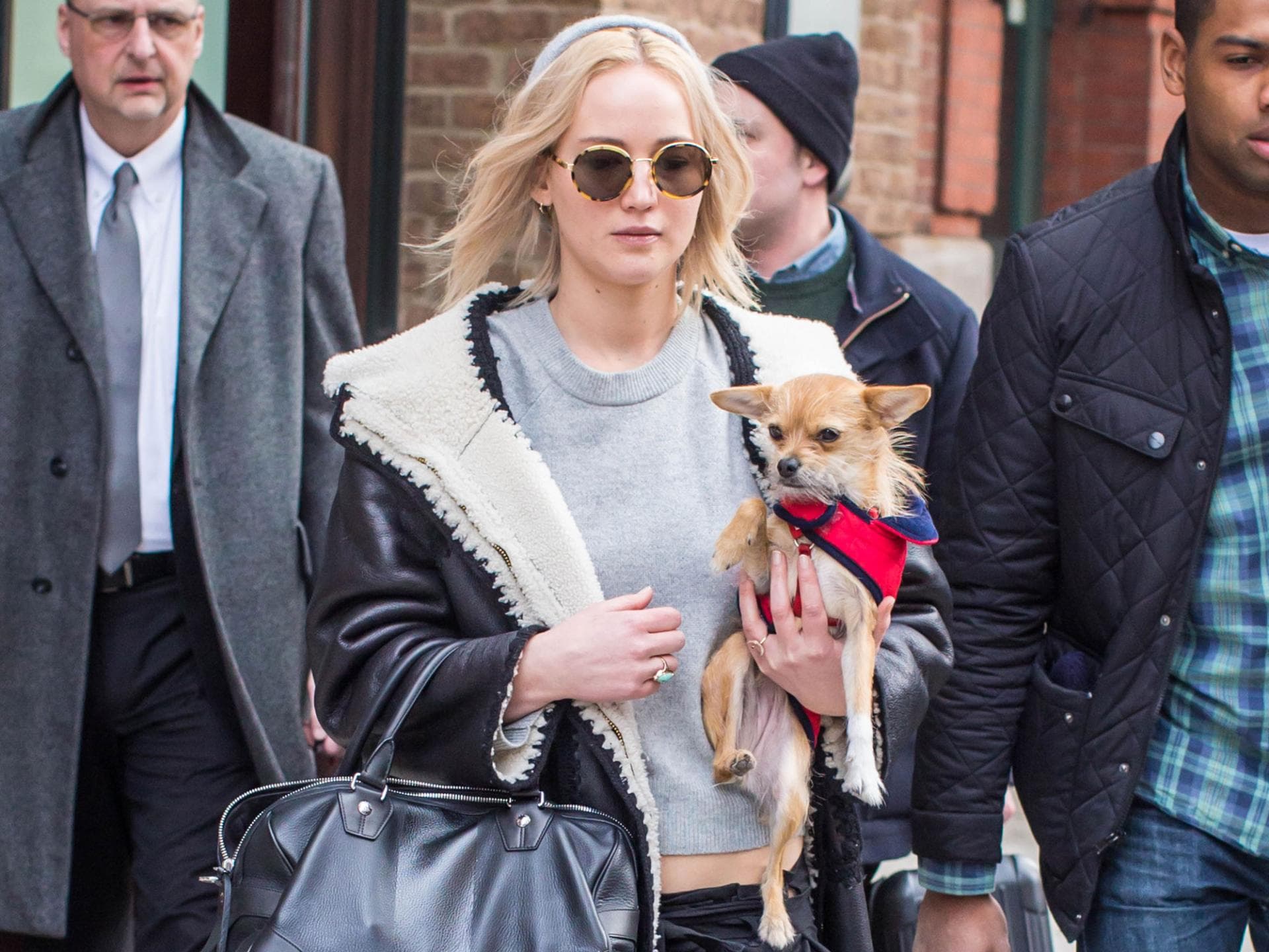 jennifer-lawrence-hund jennifer-lawrence-hund