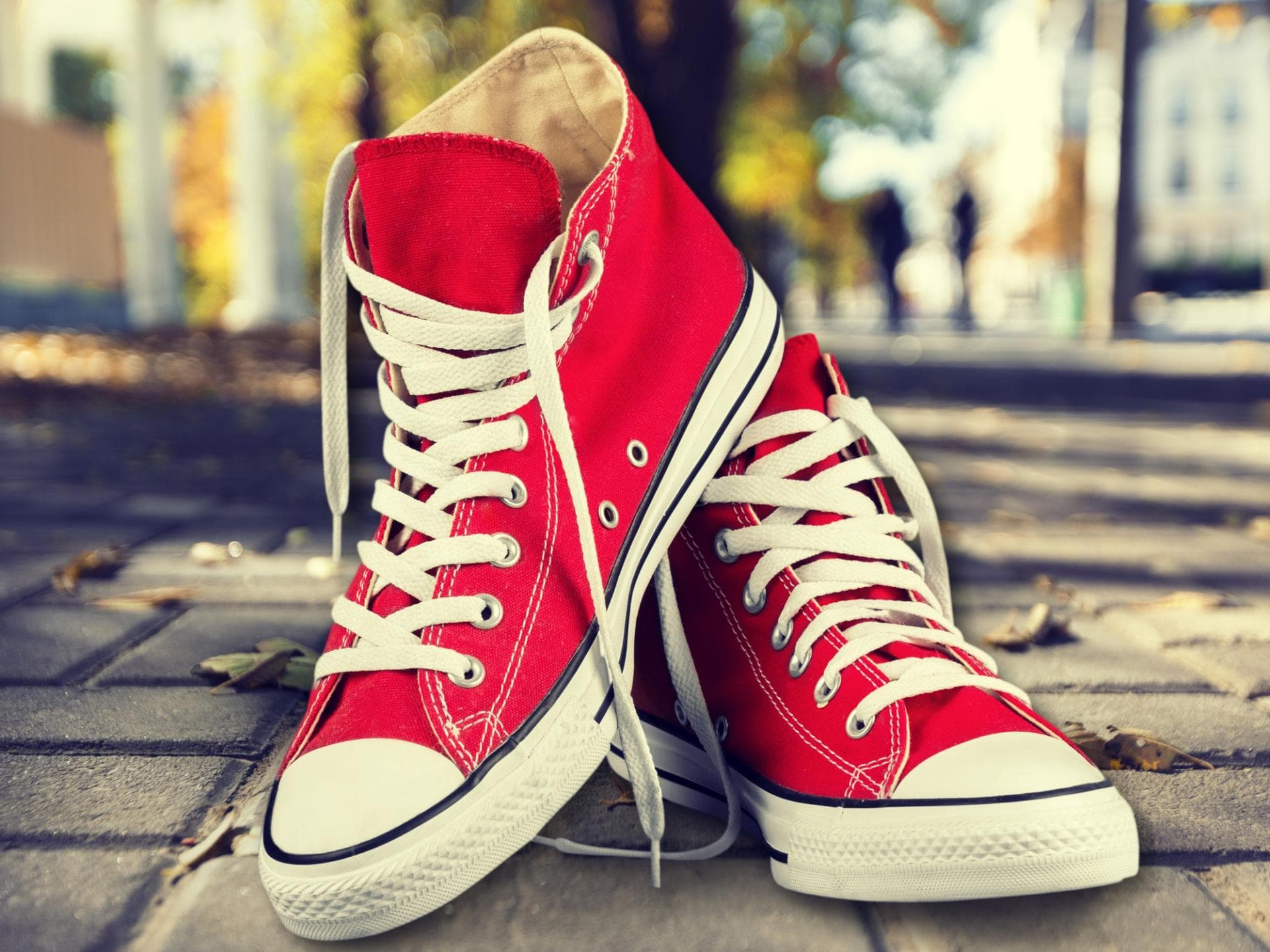 converse-chucks
