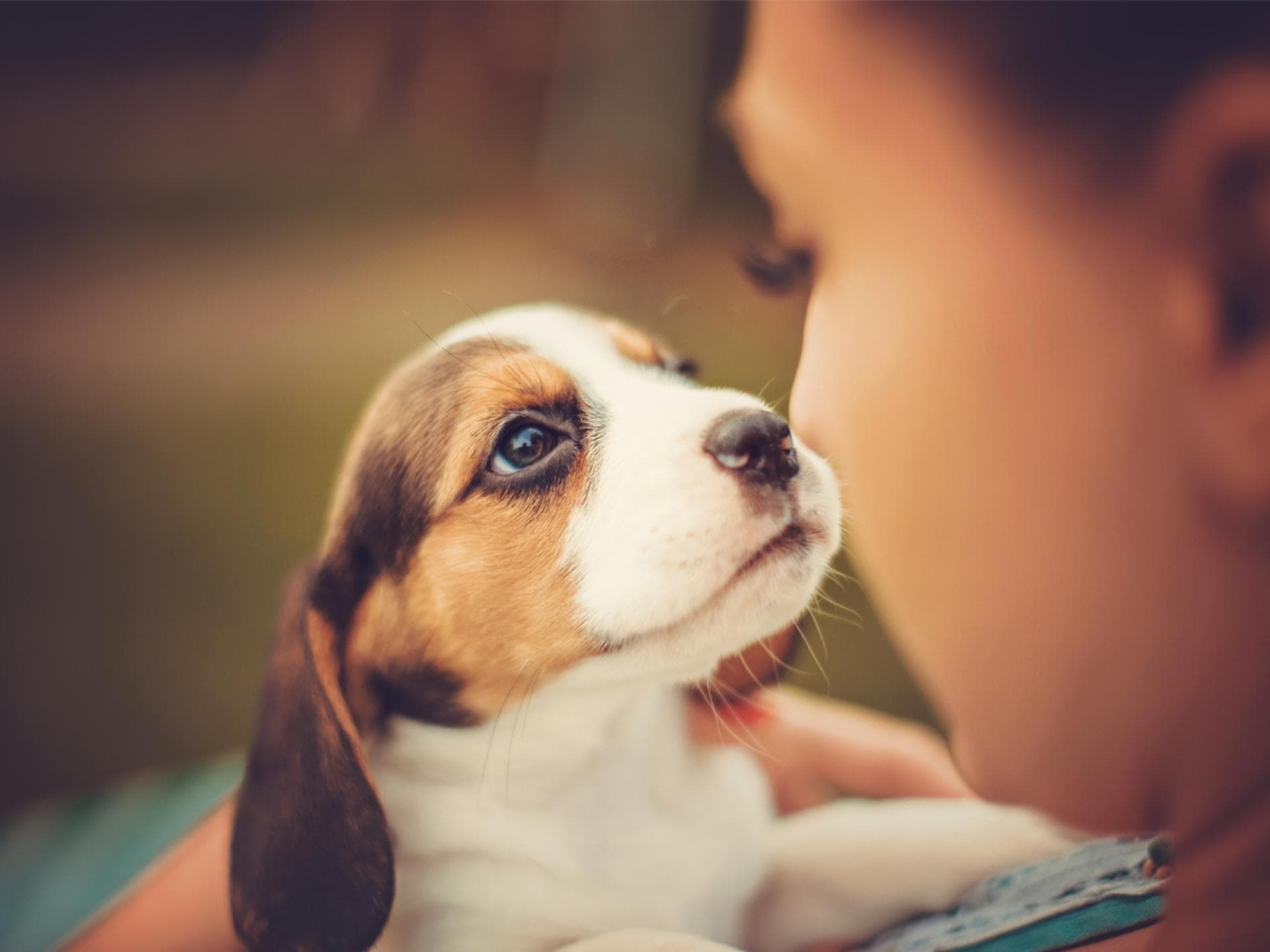 Hunde haben die beste Menschenkenntnis Hunde haben die beste Menschenkenntnis