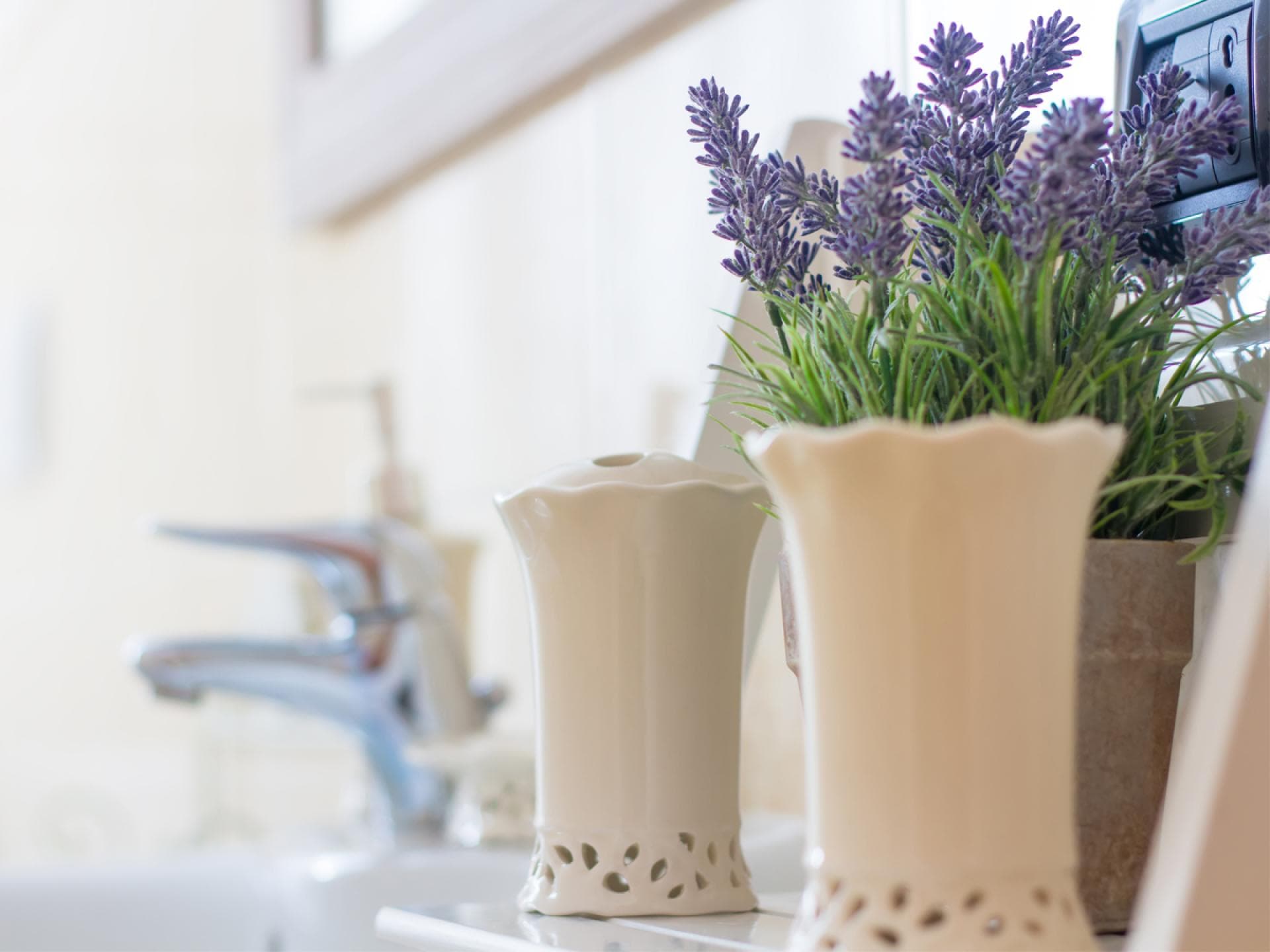 Lavendel hilft gegen Spinnen in der Wohnung Lavendel hilft gegen Spinnen in der Wohnung