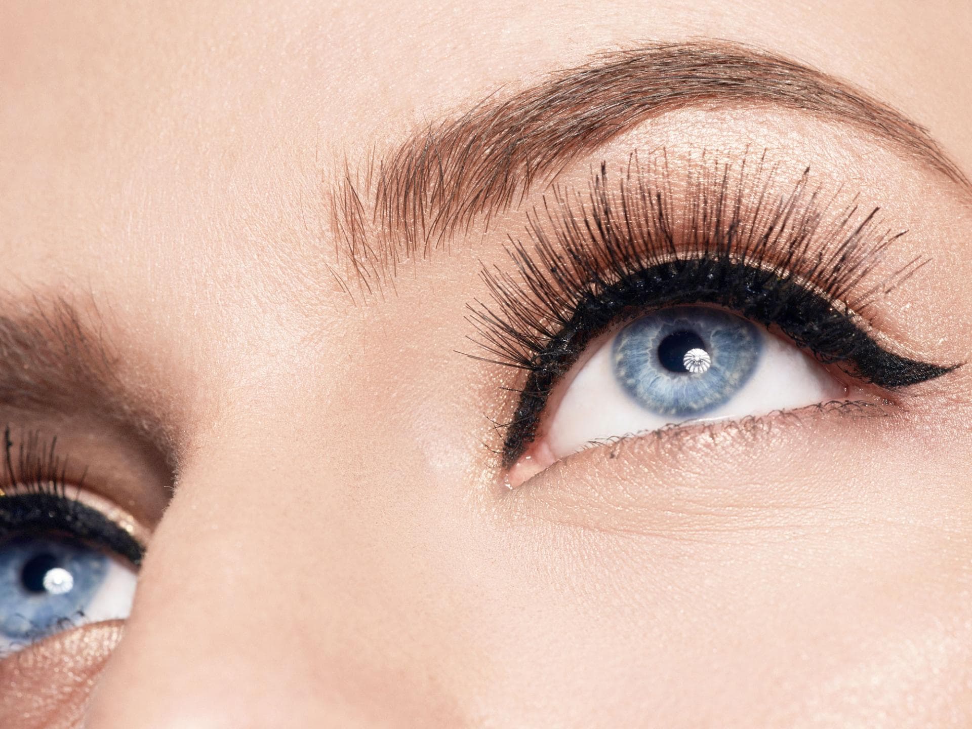 wimpern wimpern