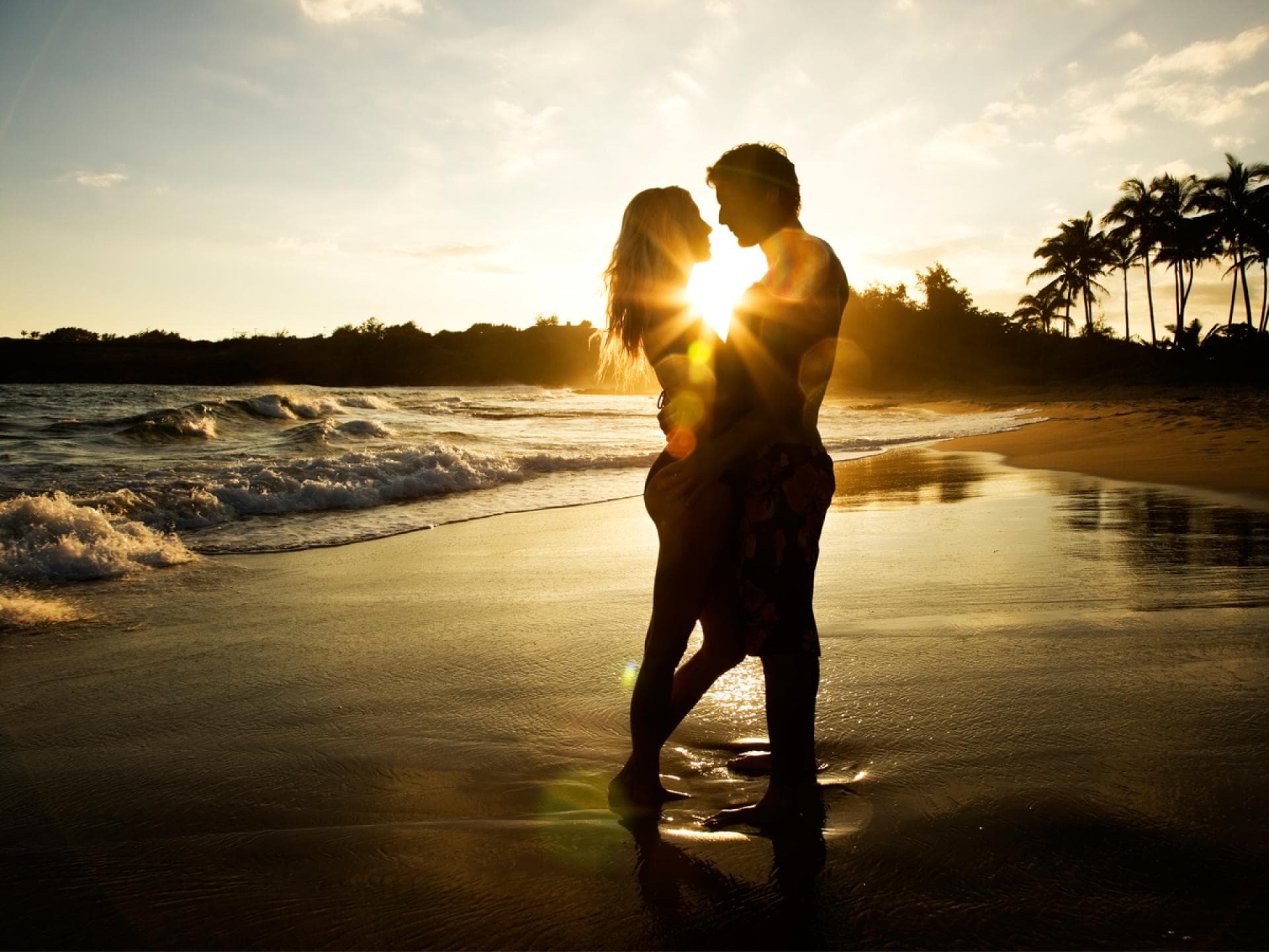 bachelor in paradise rtl bachelor in paradise rtl