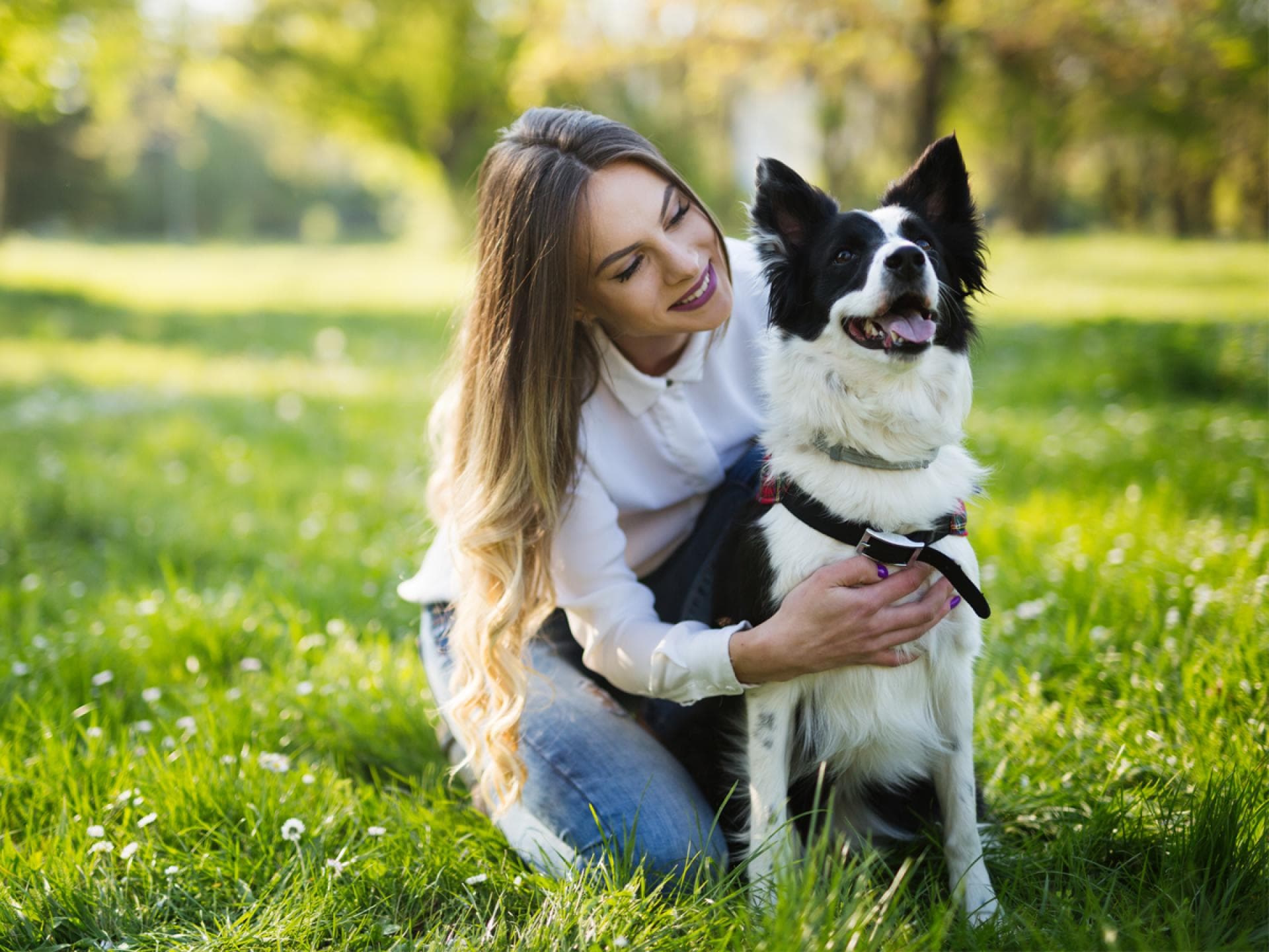 Dieser Expertentipp rettet Hundeleben was tun wenn Hund entlaufen ist Dieser Expertentipp rettet Hundeleben was tun wenn Hund entlaufen ist