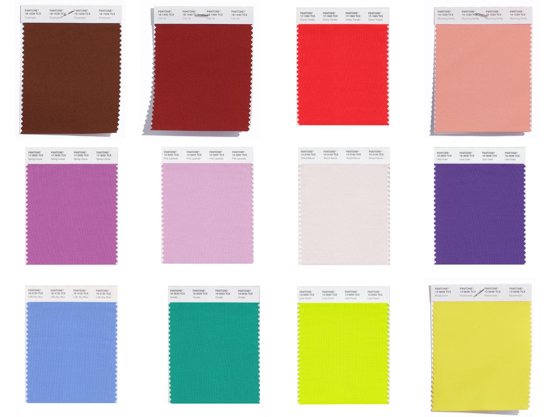 Pantone Pantone