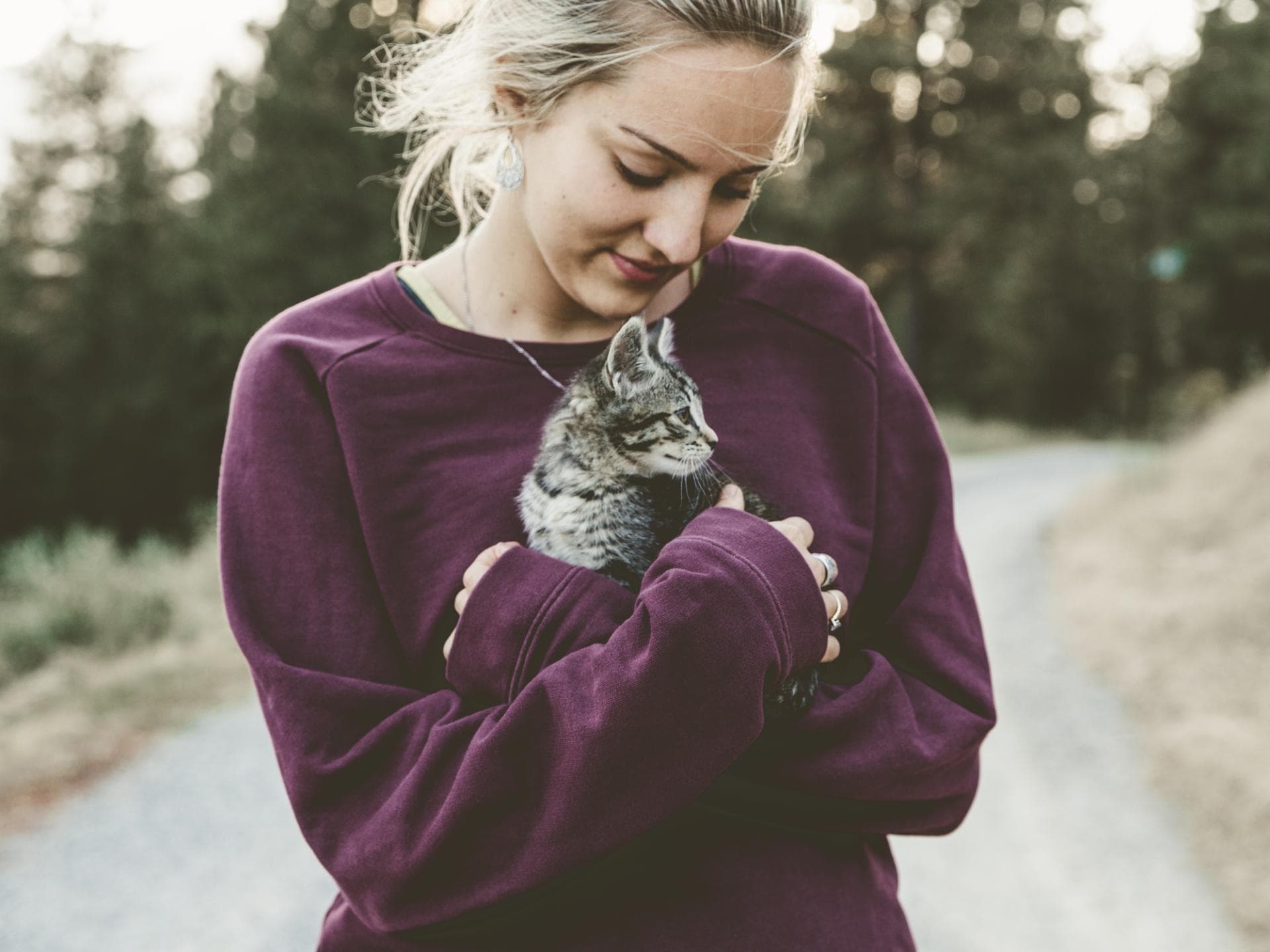 cat lady cat lady