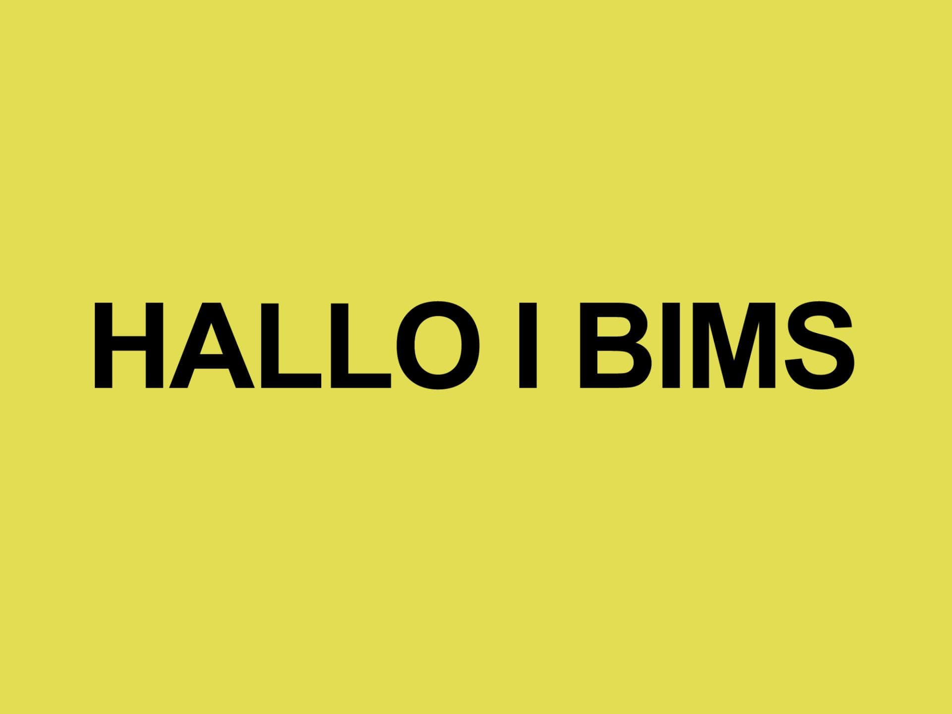 i bims i bims