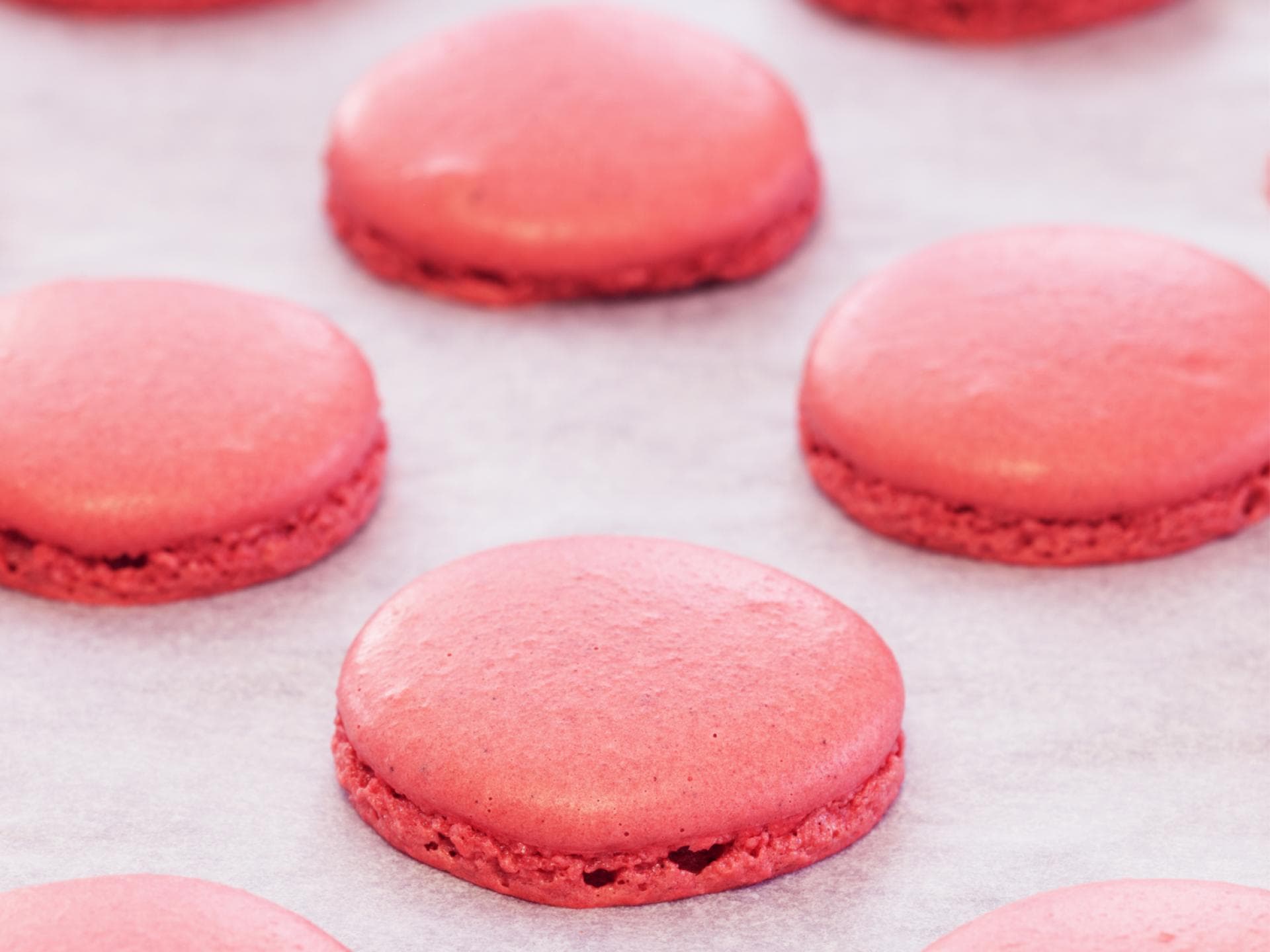 macarons backen masse auf backblech macarons backen masse auf backblech
