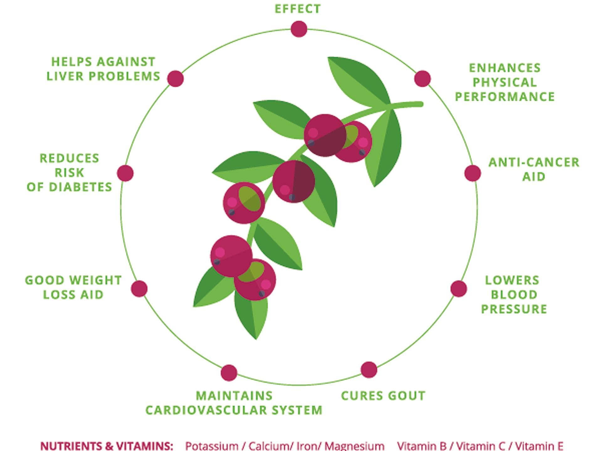 camu-camu-vorteile-benefits camu-camu-vorteile-benefits