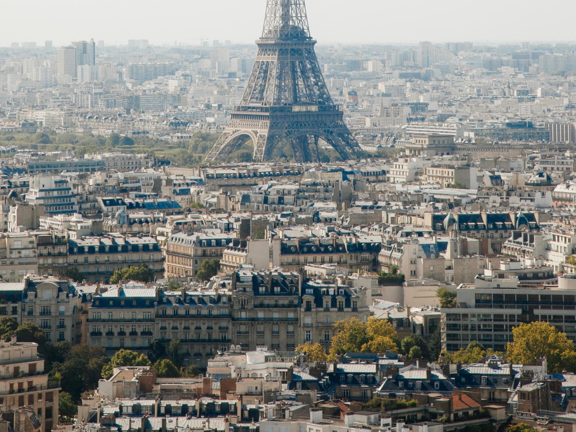 paris paris