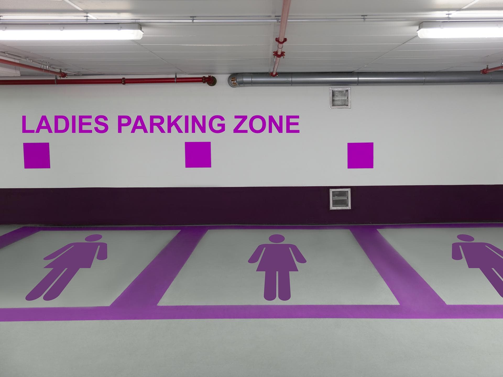 wichtige-autobegriffe-glossar-frauenparkplatz wichtige-autobegriffe-glossar-frauenparkplatz